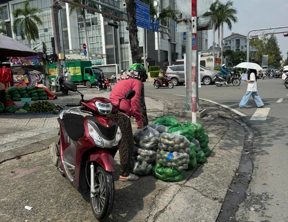 Cam sành tại vườn còn 3.000 đồng/kg, tràn ra đường kêu gọi 'giải cứu'- Ảnh 3.