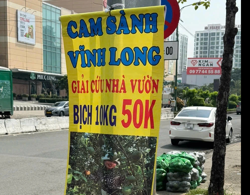 Cam sành tại vườn còn 3.000 đồng/kg, tràn ra đường kêu gọi 'giải cứu'- Ảnh 2.