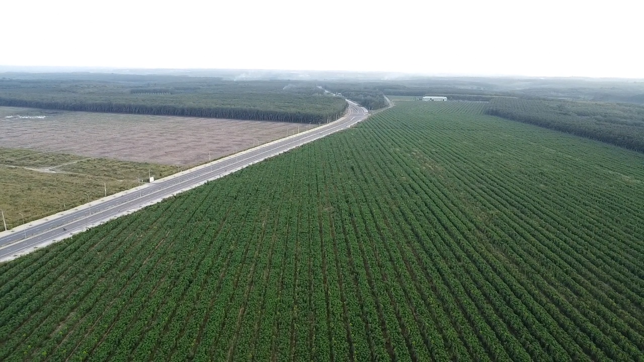 X&atilde; v&ugrave;ng s&acirc;u v&ugrave;ng xa được quy hoạch 10 khu, cụm c&ocirc;ng nghiệp- Ảnh 1.