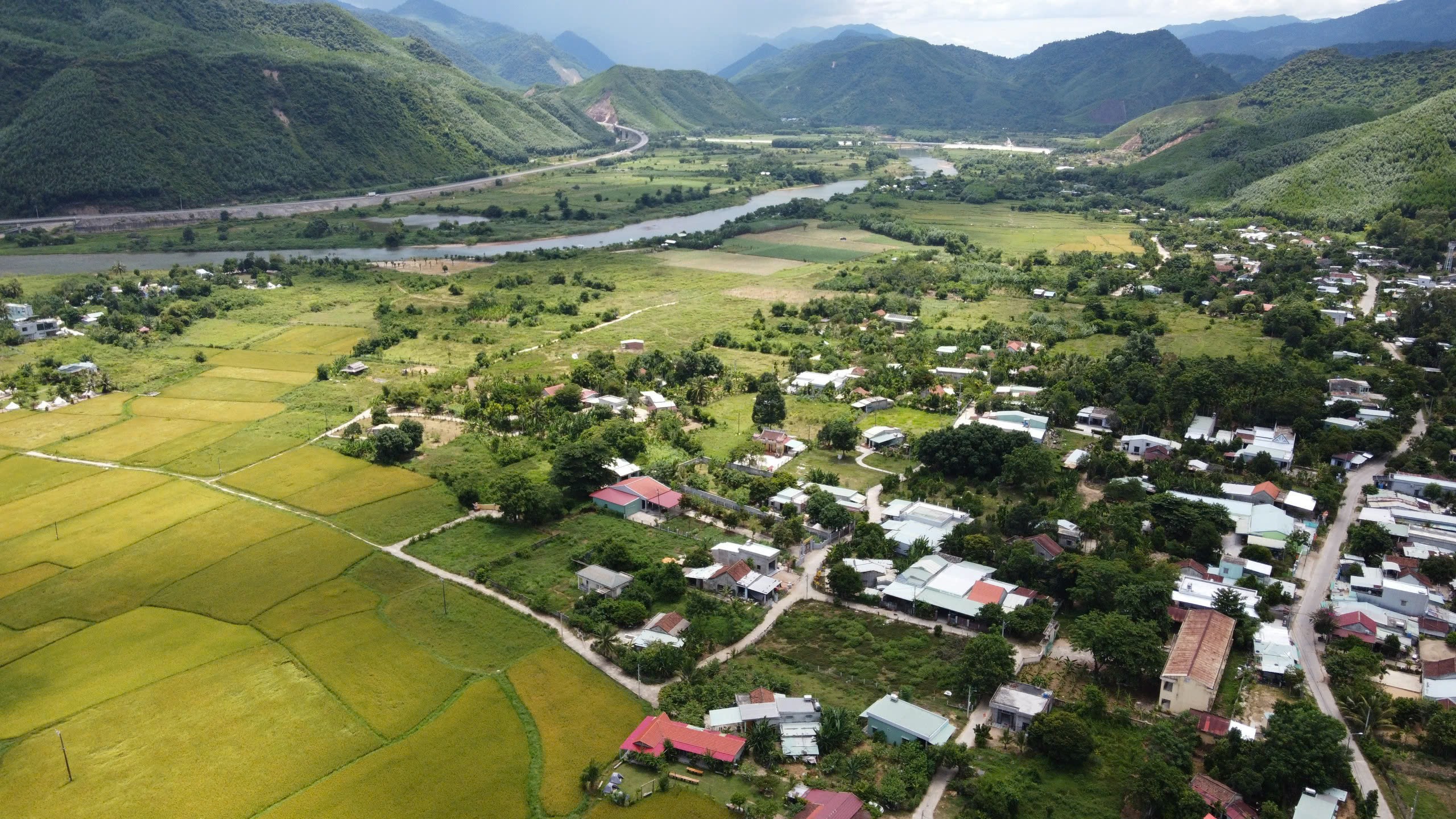 Nỗ lực 'vá' rừng bằng cây gỗ lớn, bởi... 'mở mắt đã thấy rừng'- Ảnh 7.