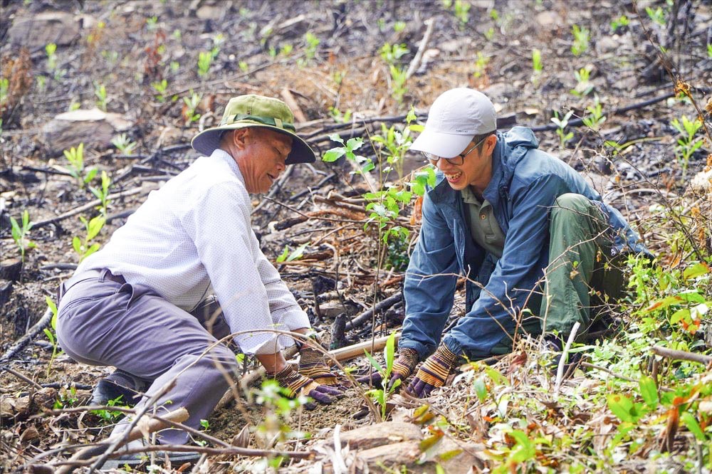 Nỗ lực 'vá' rừng bằng cây gỗ lớn, bởi... 'mở mắt đã thấy rừng'- Ảnh 5.