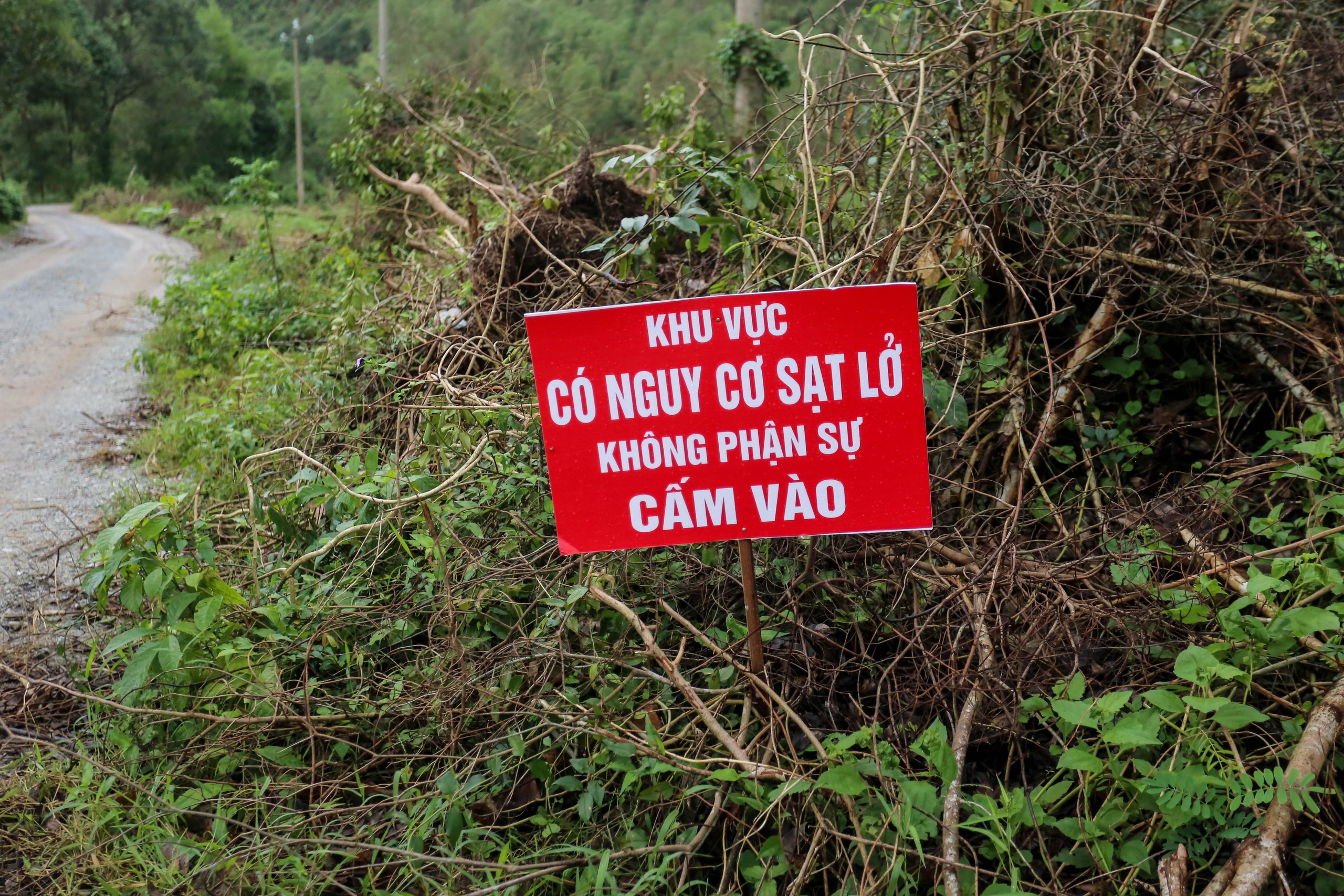 Sống dưới chân núi có nguy cơ sạt lở: 'Cứ nghe mưa là chạy'- Ảnh 8.