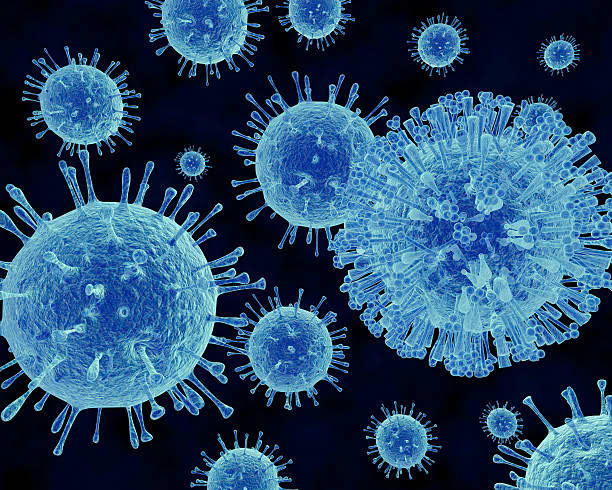 Dịch bệnh bùng phát trên tàu du lịch: Norovirus nguy hiểm thế nào?- Ảnh 1.