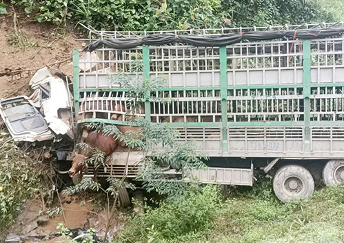 Quảng Bình: Xe tải chở bò mất lái lao vào vách núi, tài xế tử vong- Ảnh 1.