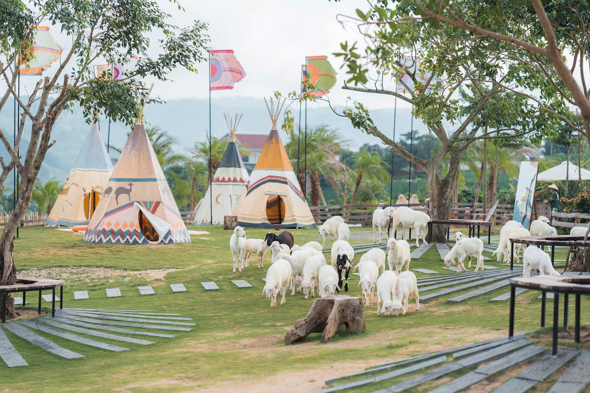 Trải nghiệm phim trường Mongo Land ở Đà Lạt- Ảnh 2. Trải nghiệm phim trường Mongo Land ở Đà Lạt- Ảnh 2.