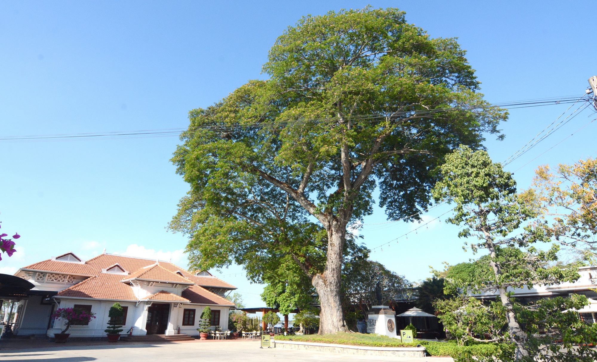 Dấu xưa mở cõi đất phương Nam: Mỹ Tho cũ, Định Tường xưa- Ảnh 1.