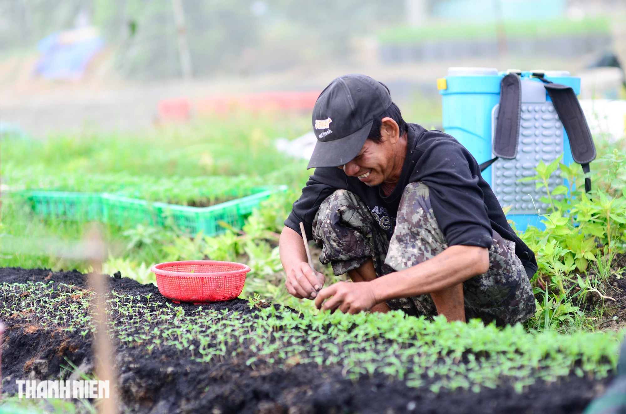 Thủ phủ hoa tết vào vụ cho Ất Tỵ 2025: 'Mong năm nay sẽ khá hơn'- Ảnh 3.