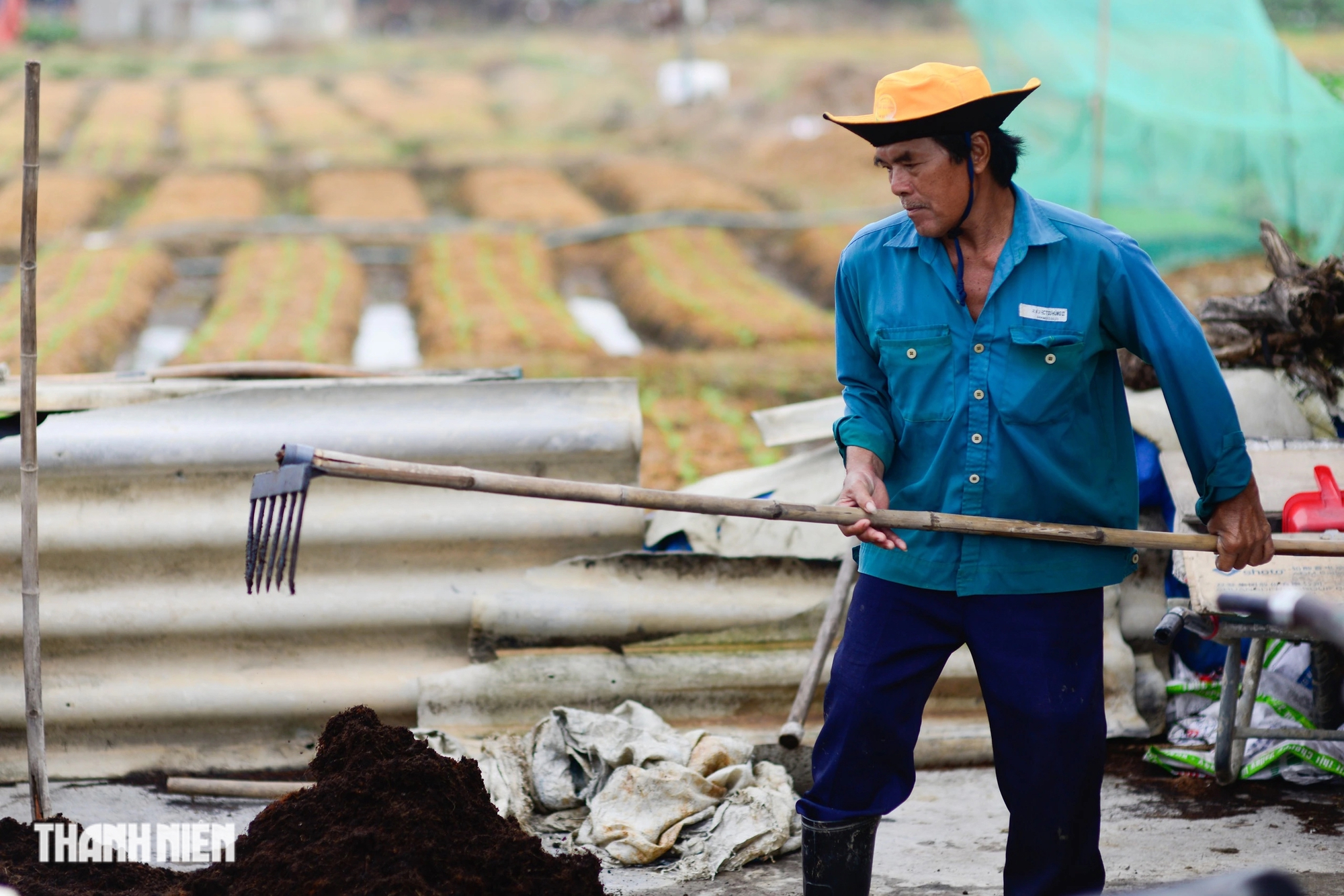 Thủ phủ hoa tết vào vụ cho Ất Tỵ 2025: 'Mong năm nay sẽ khá hơn'- Ảnh 9.