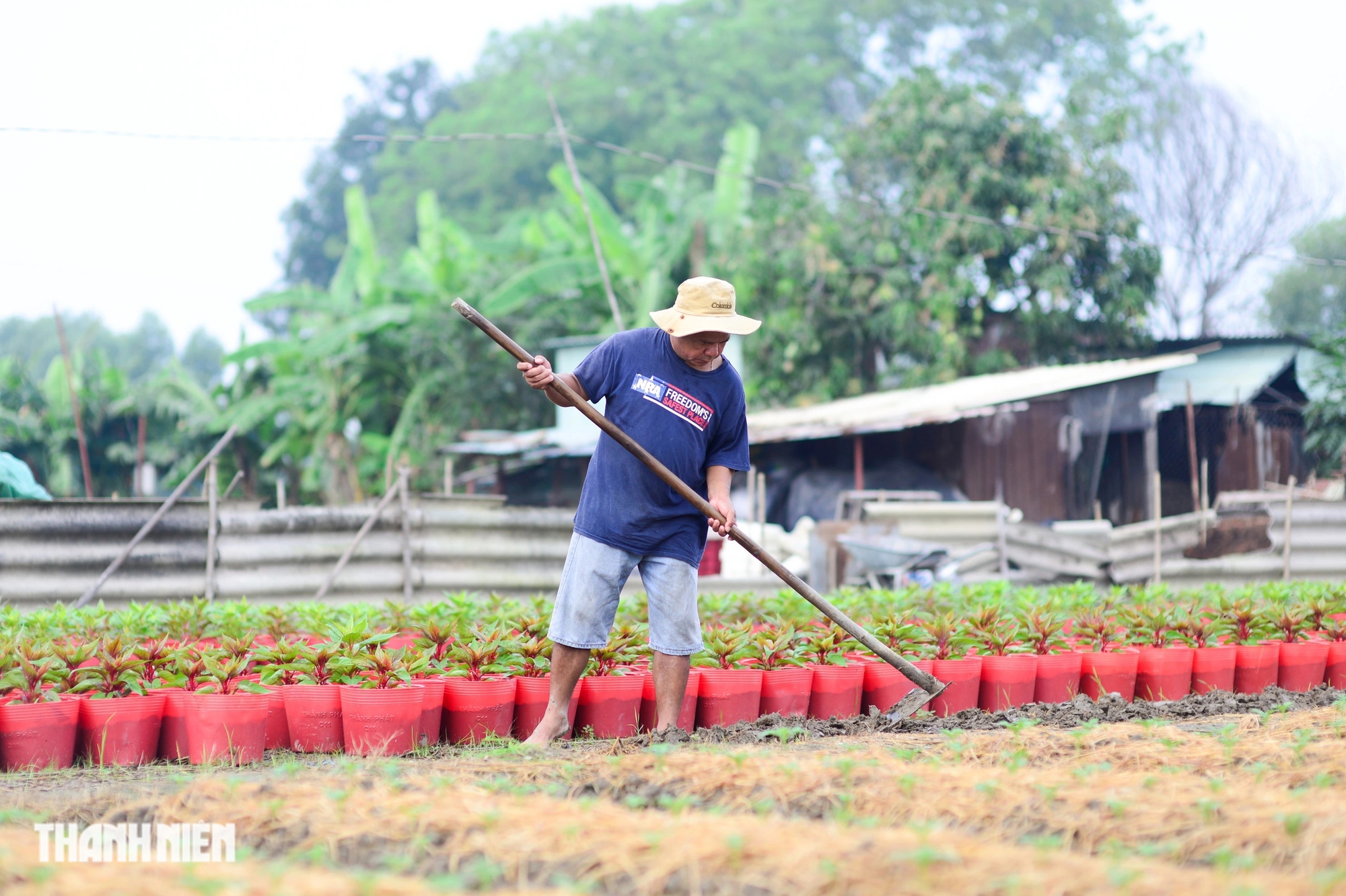 Thủ phủ hoa tết vào vụ cho Ất Tỵ 2025: 'Mong năm nay sẽ khá hơn'- Ảnh 13.