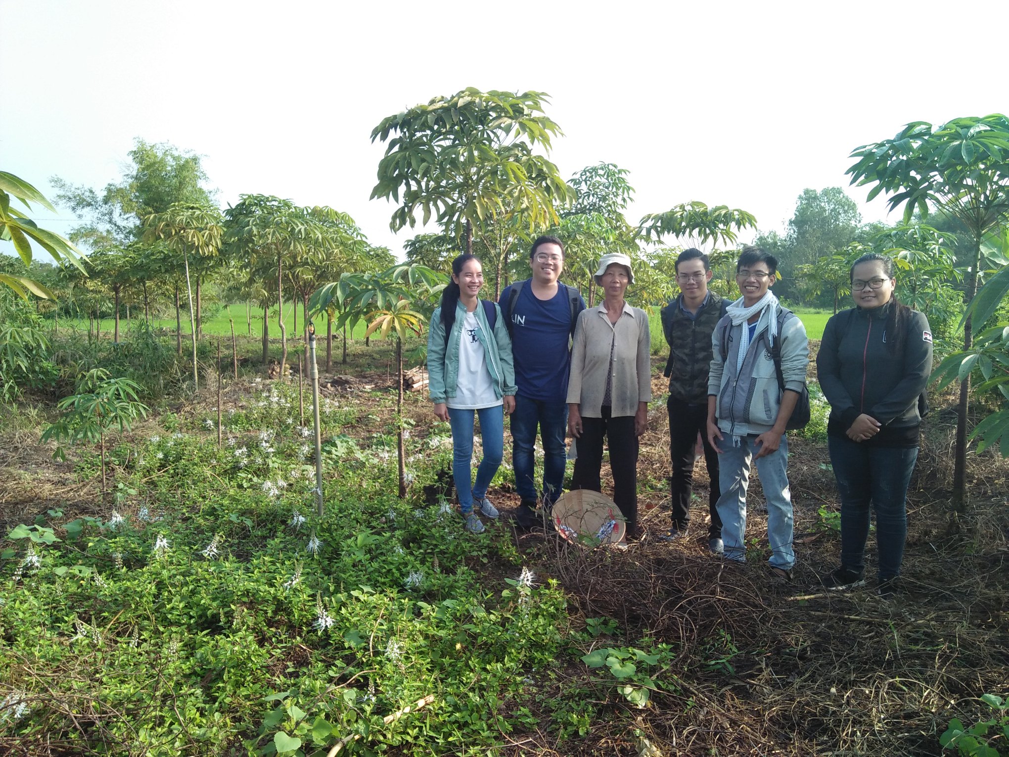 Việc làm xanh: Giấc mơ vườn rừng và lý tưởng sống vì nền nông nghiệp sạch- Ảnh 5.