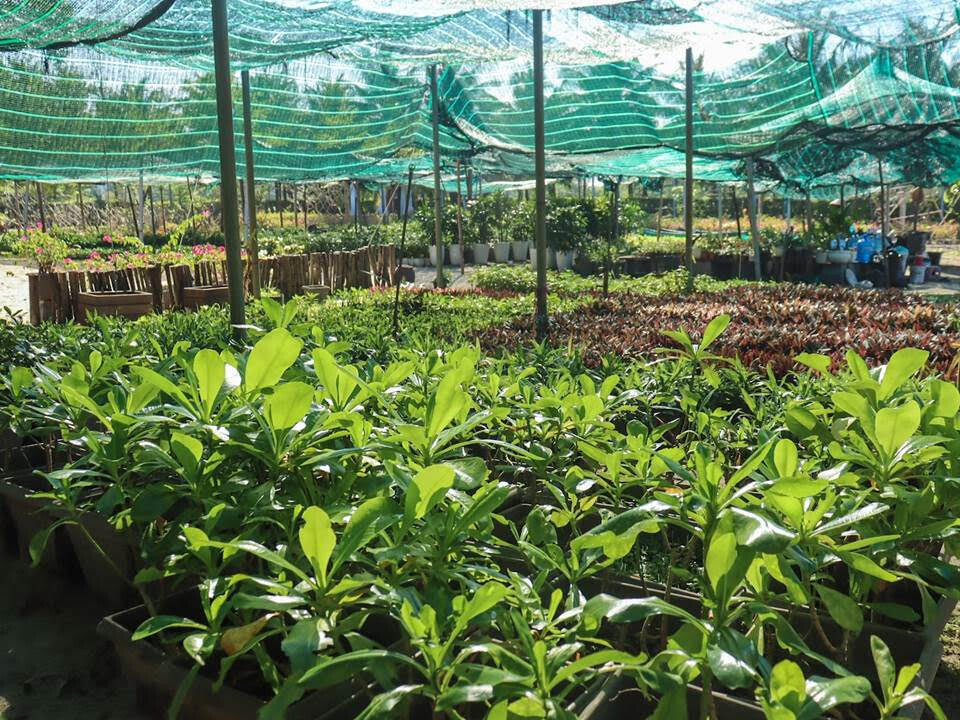 סגנון טיולים חדש לדור ה-Z והמילניאלס בקאם ראן - תמונה 4. Du lịch theo phong cách mới của thế hệ Gen Z, Millennials ở Cam Ranh- Ảnh 4.