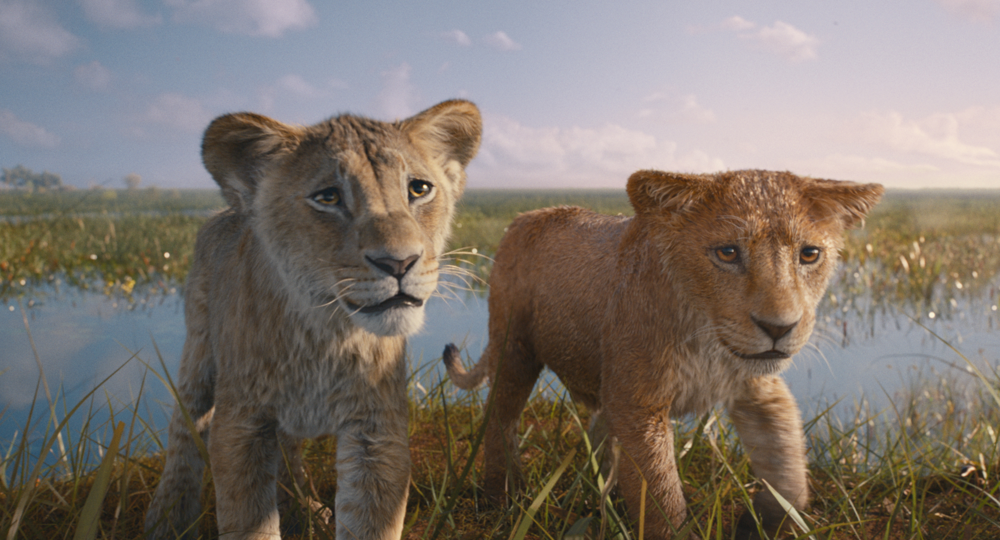 Mufasa: The Lion King': Hãy nhớ mình là ai