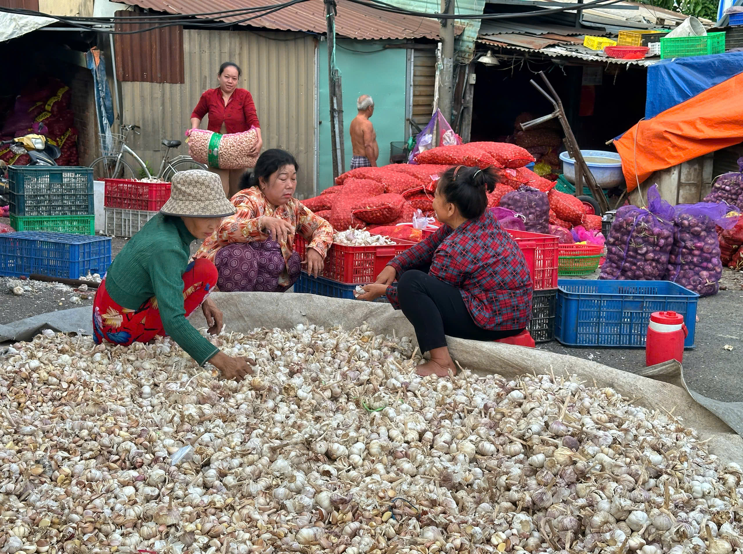 'Xóm hành tỏi' ở TP.HCM với cái 'tết lạ': Cửa đóng then cài kín mít?- Ảnh 1.