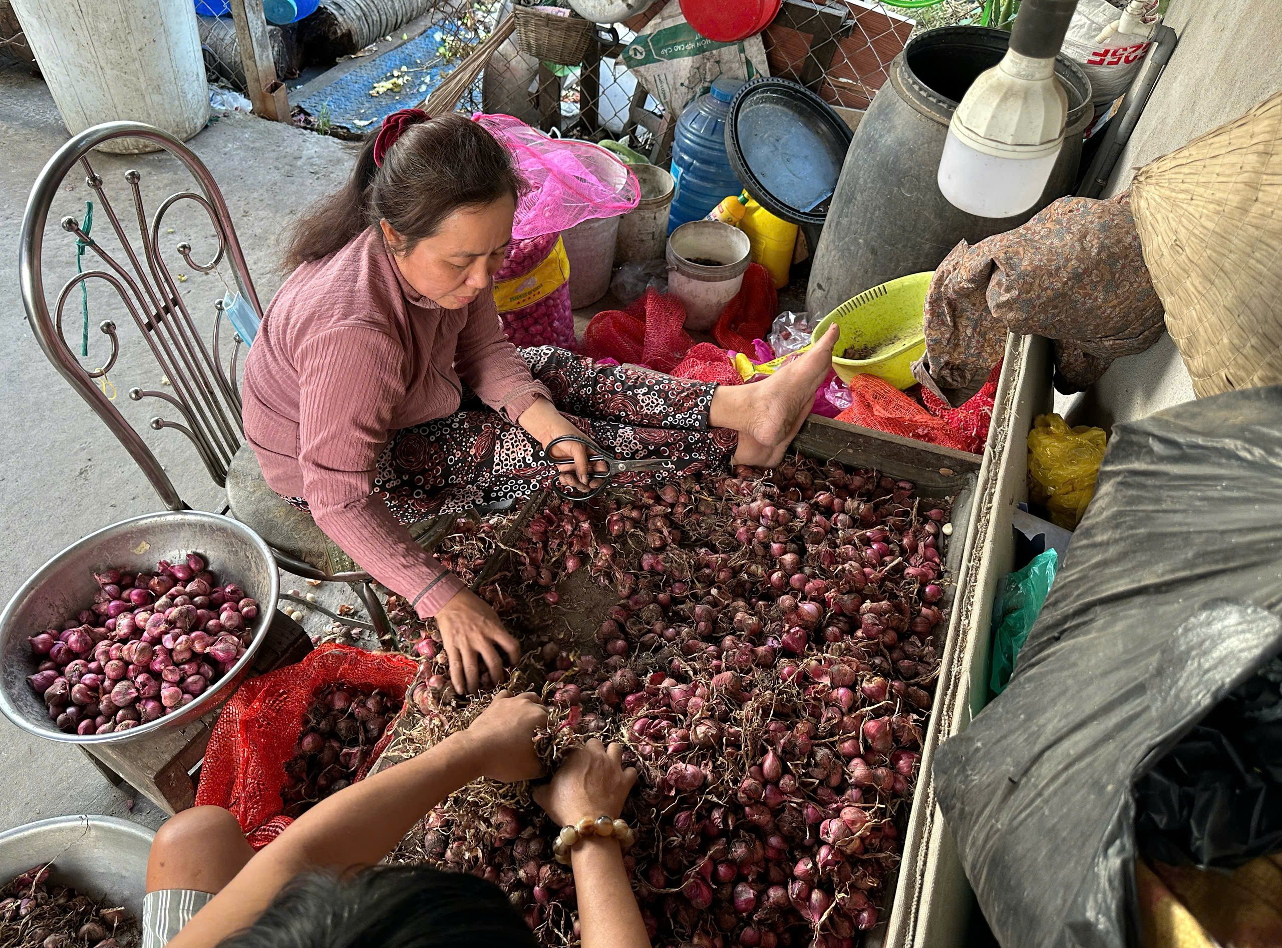 'Xóm hành tỏi' ở TP.HCM với cái 'tết lạ': Cửa đóng then cài kín mít?- Ảnh 9.