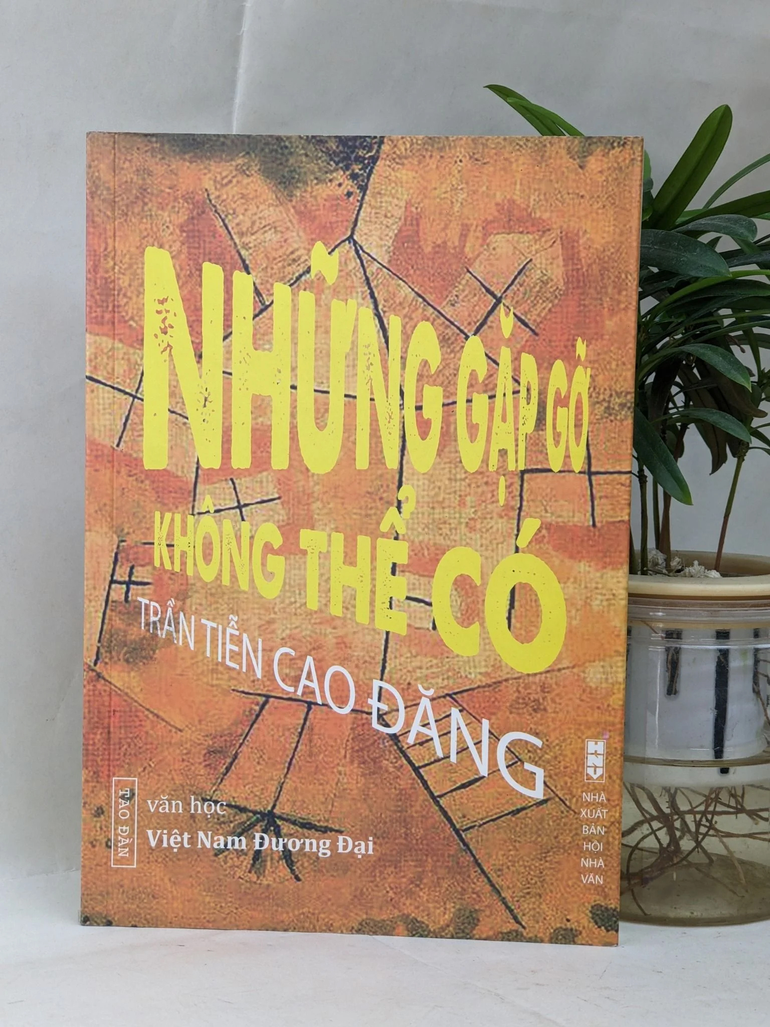 Trần Tiễn Cao Đăng: “Văn chương Việt gần như là con số 0 trên bản đồ văn chương thế giới”- Ảnh 8.