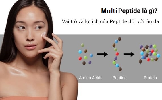 Multi Peptides là gì? Check ngay 8 tác dụng đối với làn da mà ít ai biết