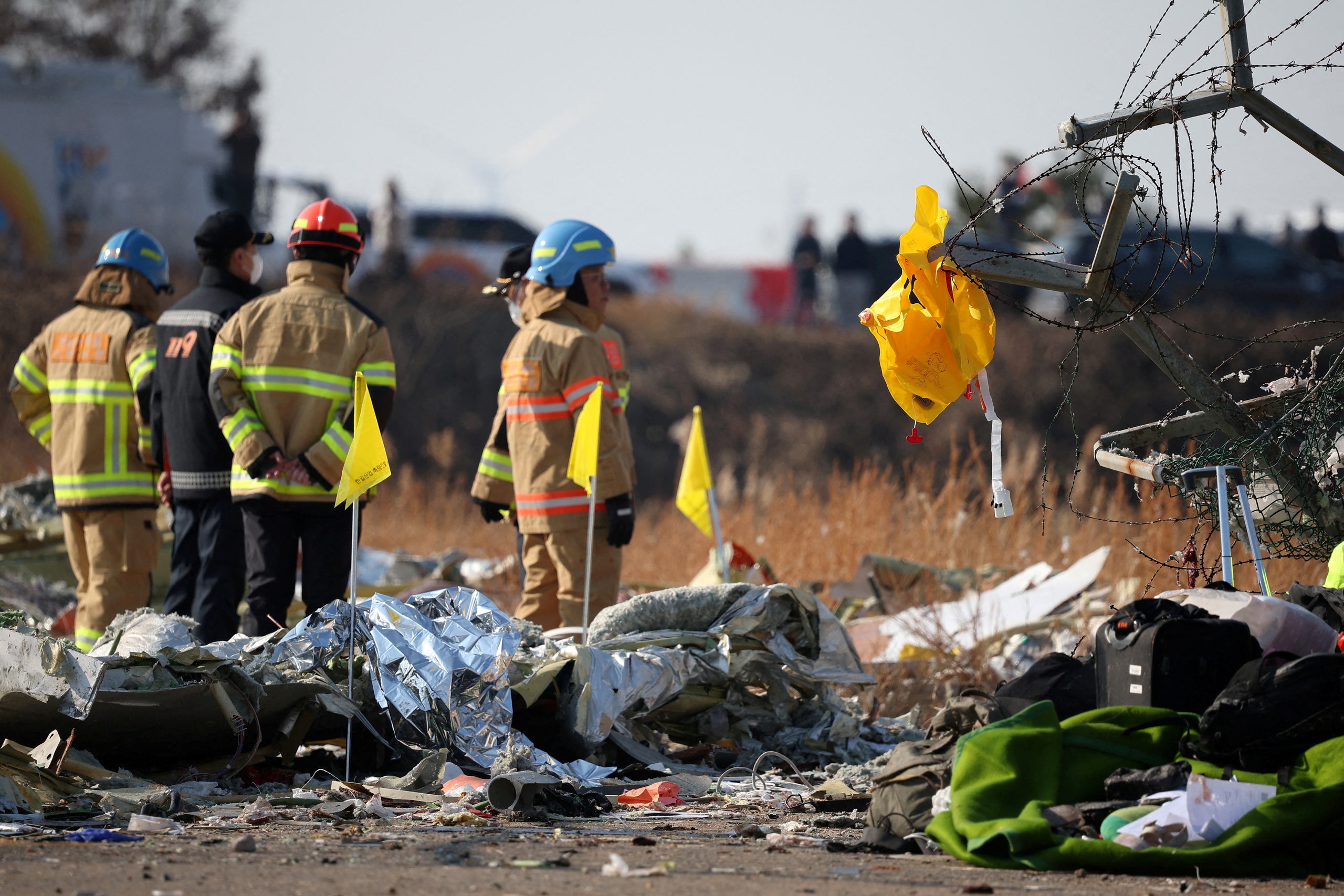 Initial investigation: Korean plane hit a bird, leading to tragedy - Photo 2.