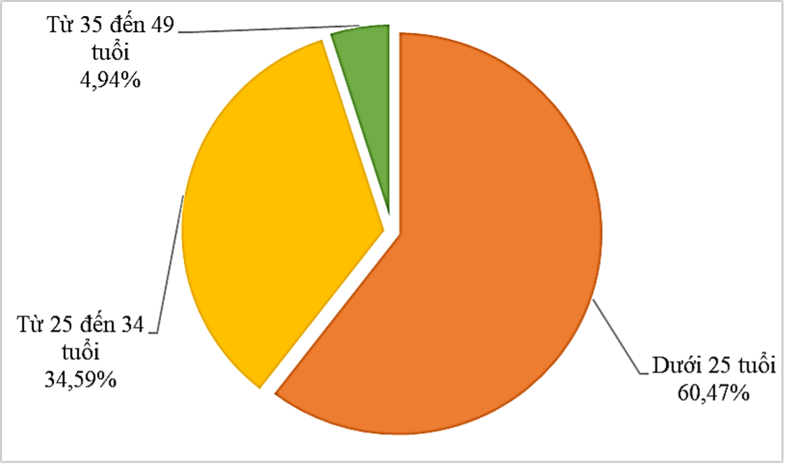 Vì sao chỉ gần 5% doanh nghiệp tuyển dụng lao động trên 35 tuổi dịp cuối năm?- Ảnh 1.