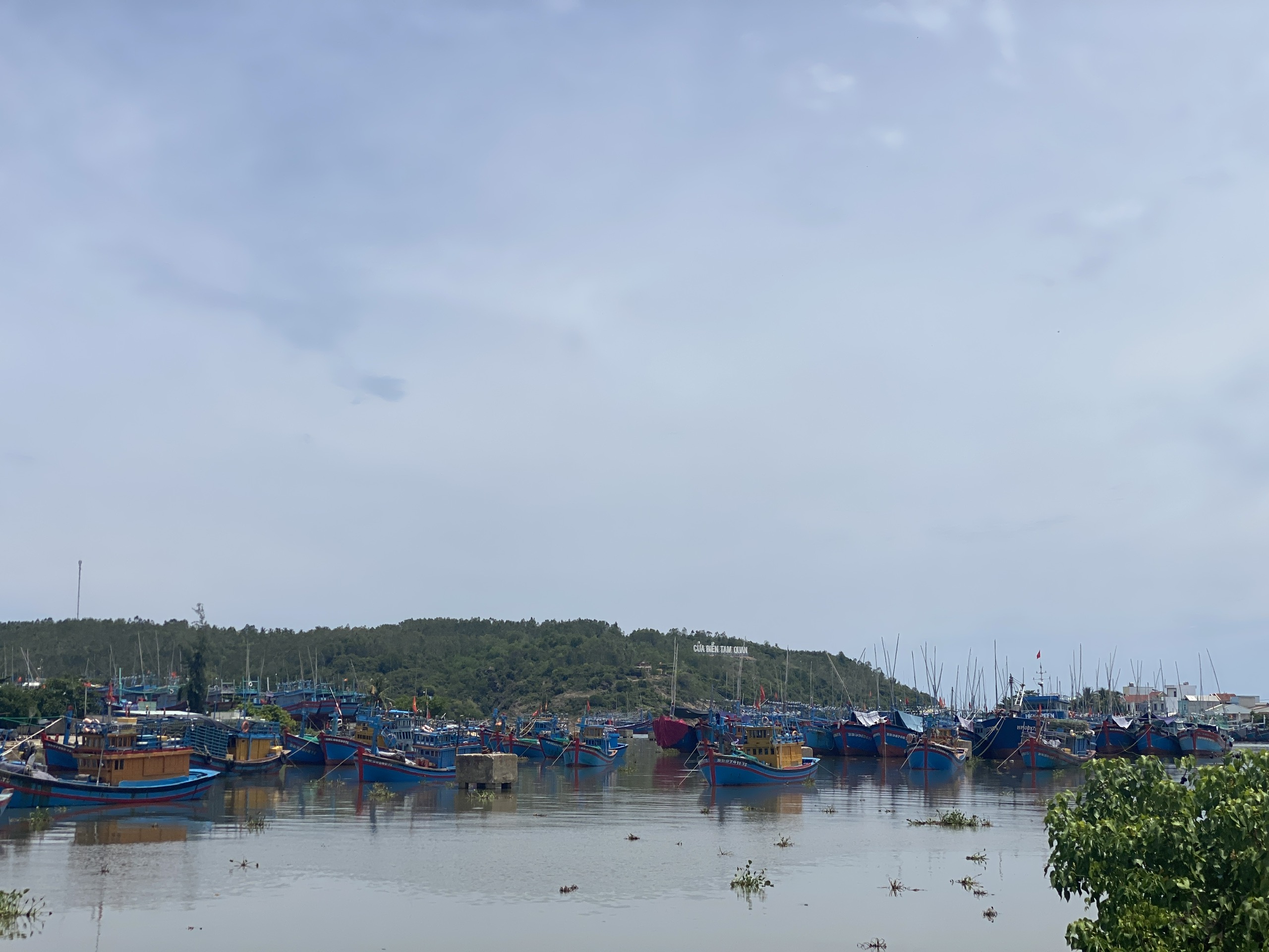 Kỷ luật Giám đốc Ban Quản lý cảng cá và dịch vụ đô thị TX.Hoài Nhơn- Ảnh 1. Kỷ luật Giám đốc Ban Quản lý cảng cá và dịch vụ đô thị TX.Hoài Nhơn- Ảnh 1.