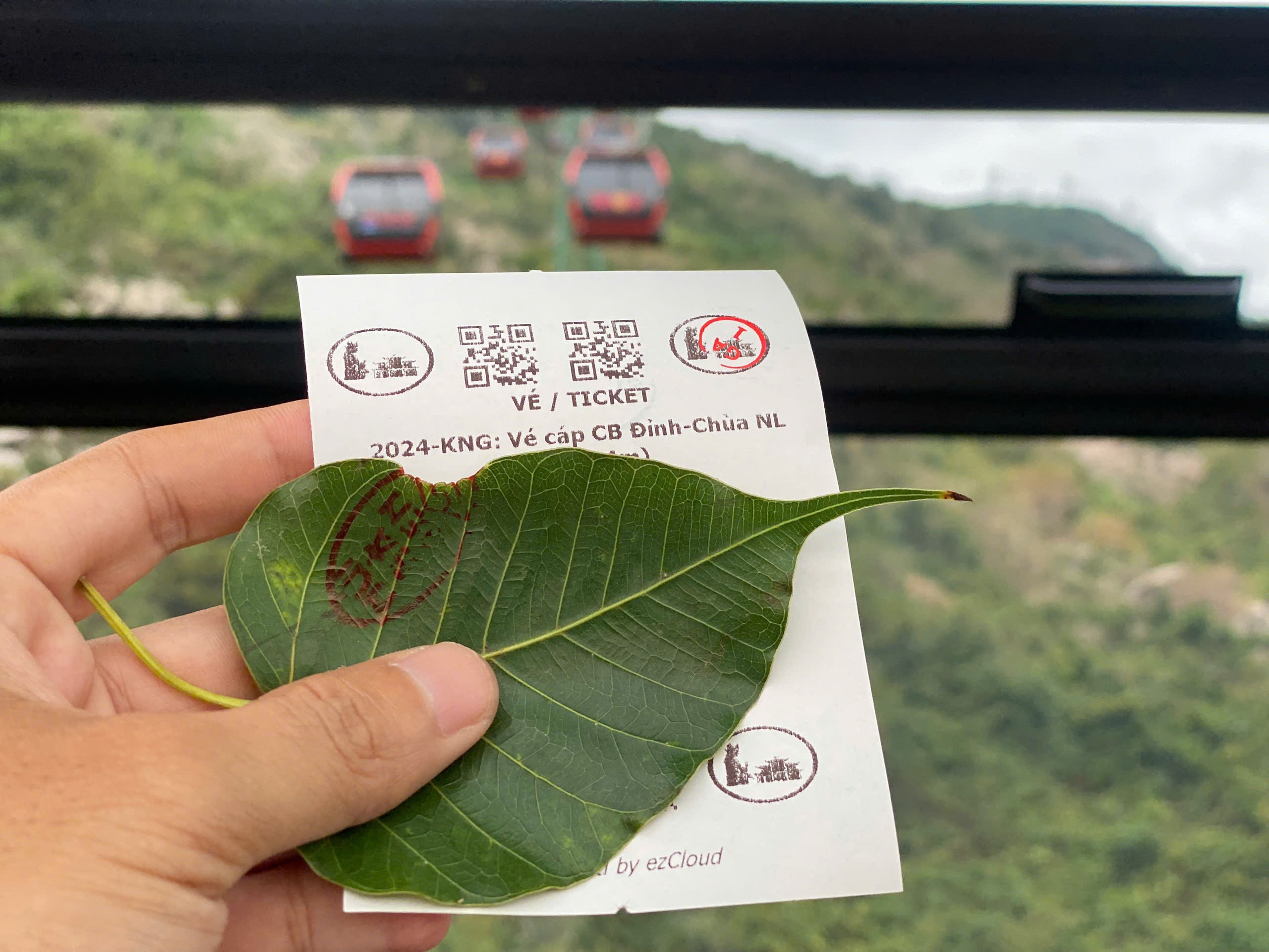 Phiên chợ lá trên núi Bà Đen có gì đặc biệt?- Ảnh 1. Phiên chợ lá trên núi Bà Đen có gì đặc biệt?- Ảnh 1.