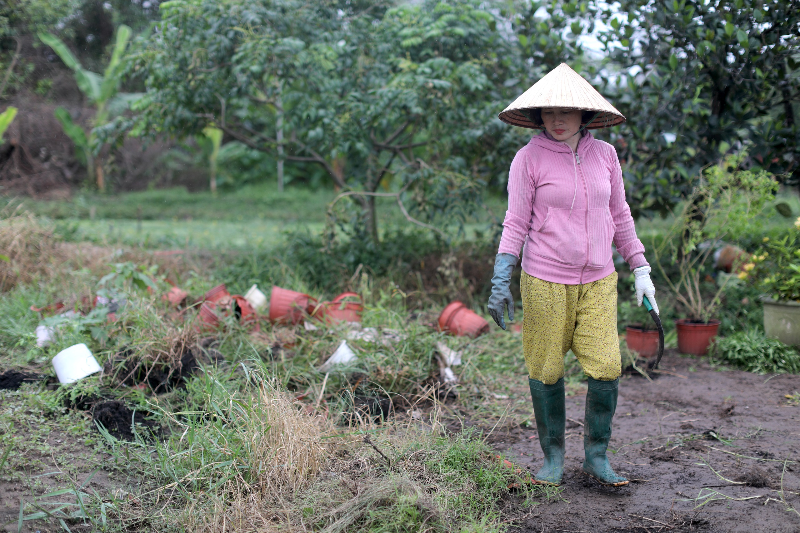 Làng hoa TP.HCM giảm sản lượng vụ tết Ất Tỵ 2025, thêm lo lắng vì thời tiết- Ảnh 7.