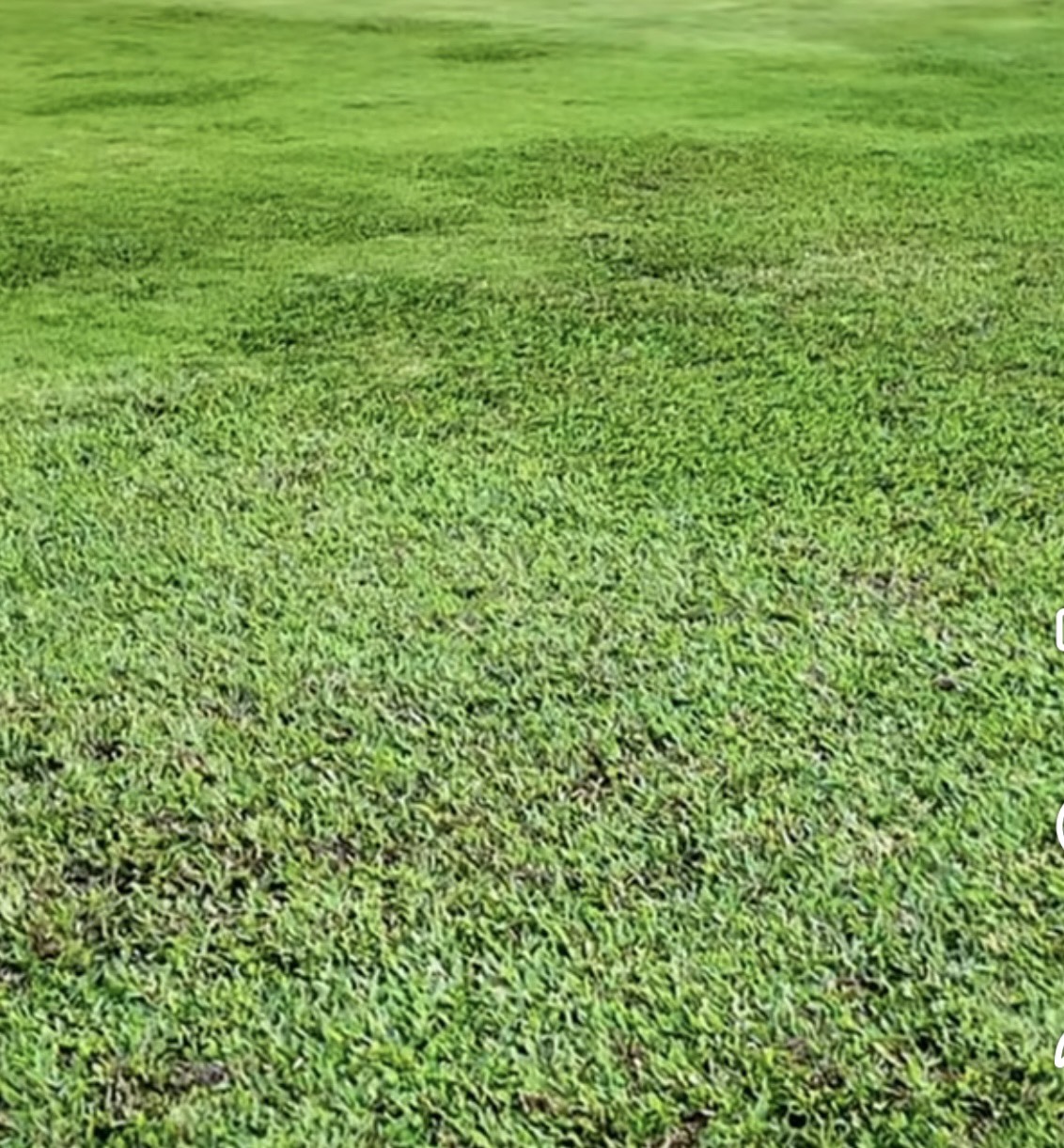 Laos Milli Stadyumu'na tanıklık: Oldukça kötü, Vietnam takımının dikkatli olması gerekiyor - Fotoğraf 5. Mục sở thị mặt sân quốc gia Lào: Khá xấu, đội tuyển Việt Nam cần cẩn trọng- Ảnh 5.