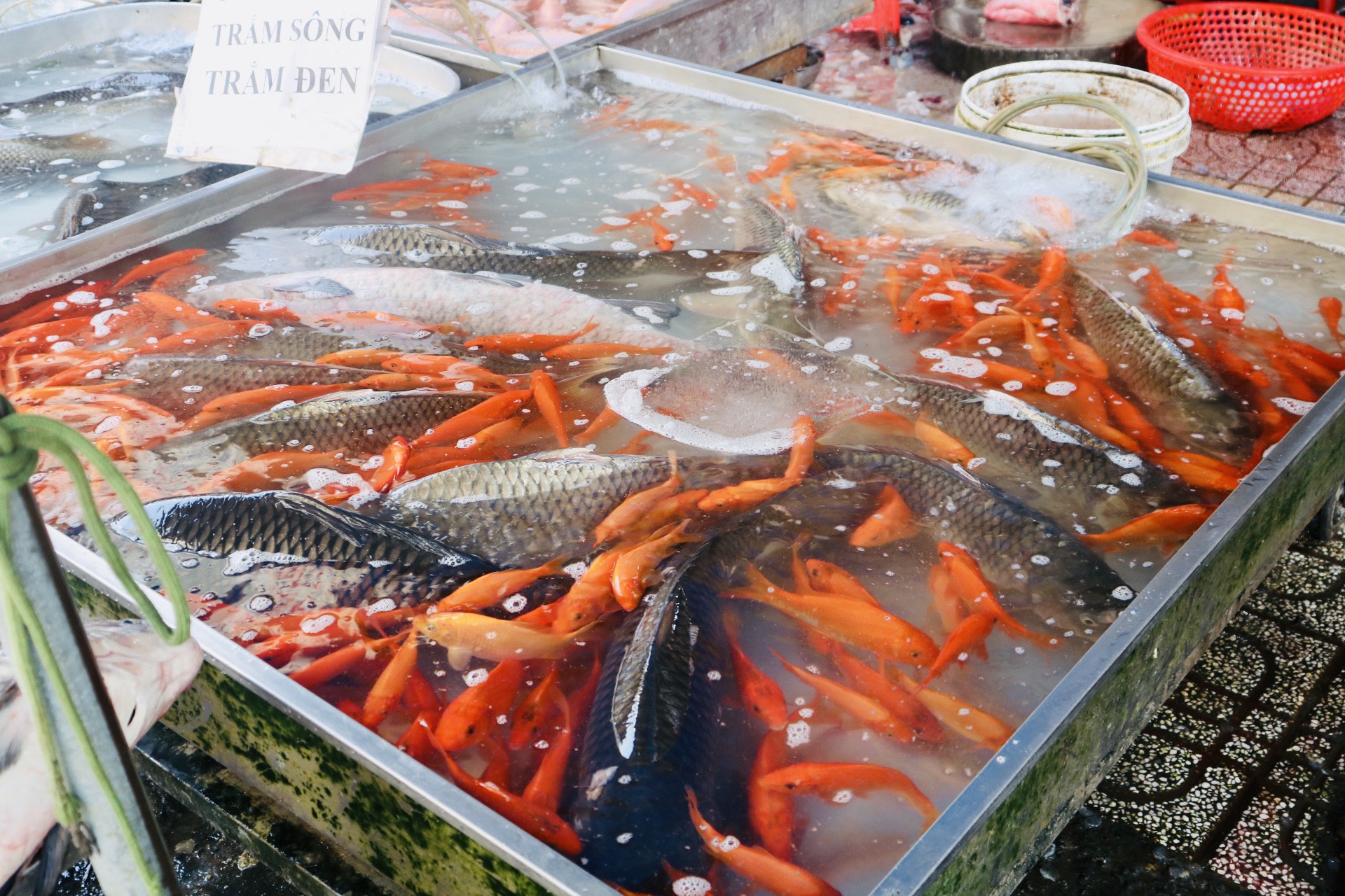 Tấp nập đi chợ ở TP.HCM mua cá chép cúng ông Táo- Ảnh 3.