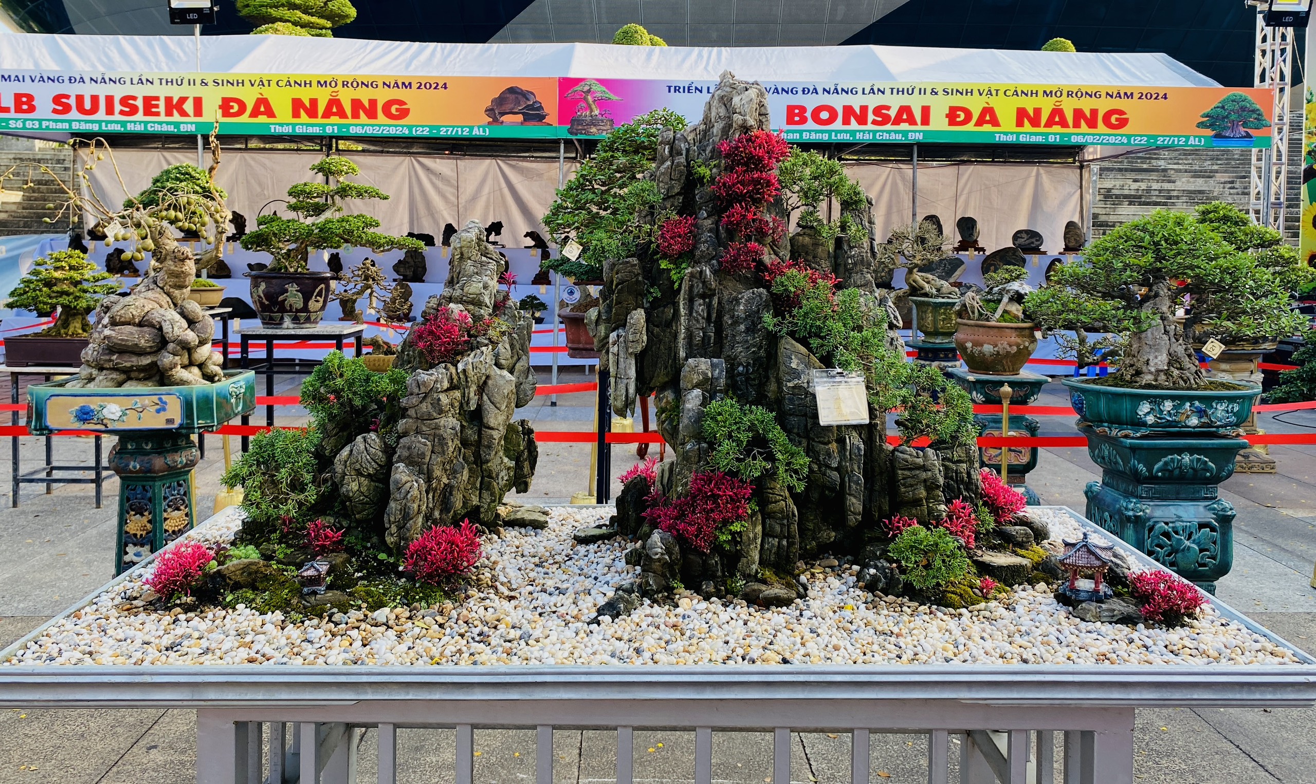 Dàn bonsai thế độc dáng lạ quy tụ, người xem mãn nhãn- Ảnh 6.