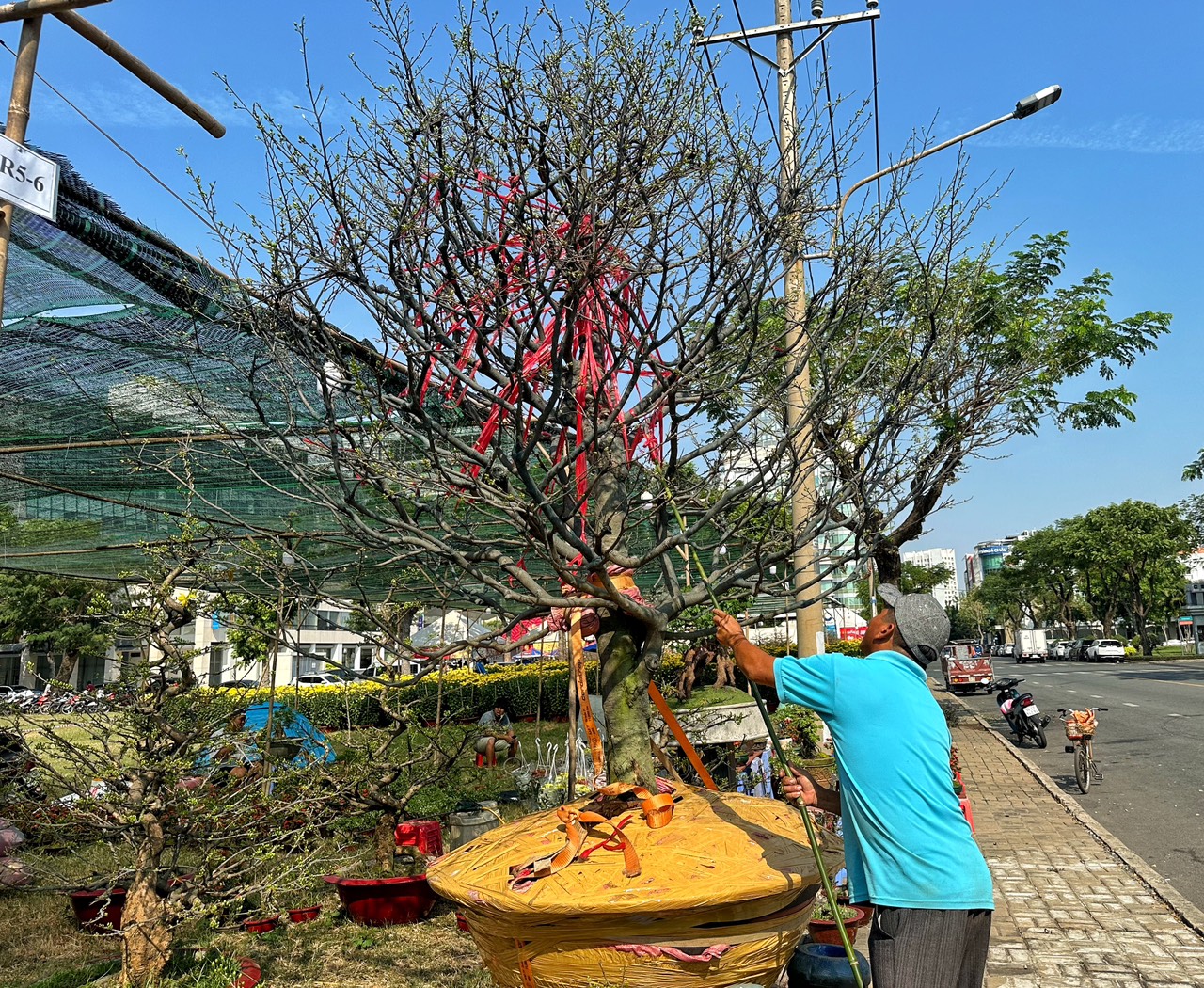 Ngày đầu chợ hoa tết Phú Mỹ Hưng: Đại gia chốt giá trên trăm triệu, người bán mừng rơn- Ảnh 9.