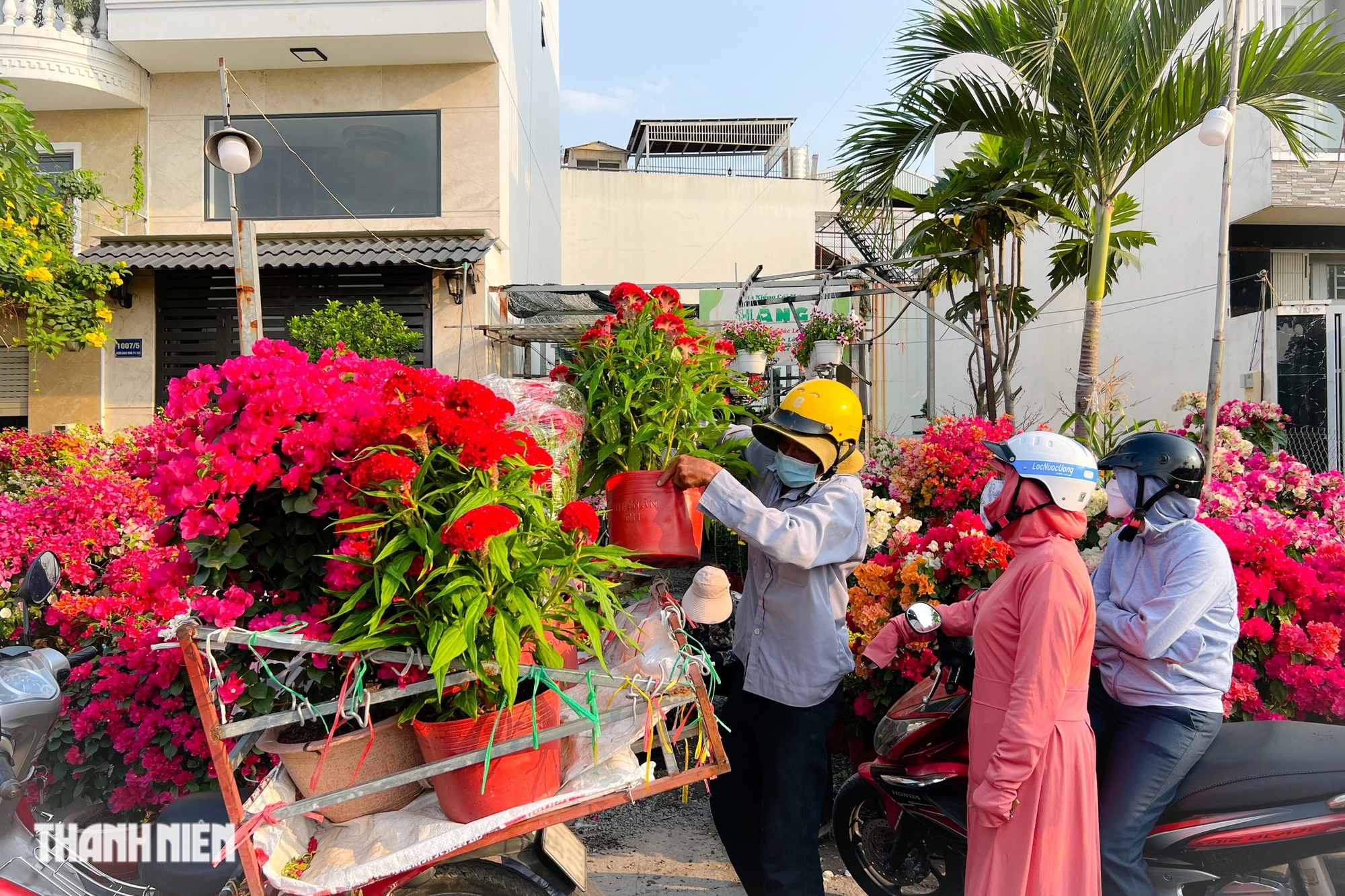 Chợ hoa xuân cạnh bờ kè ở TP.HCM: Khách mua tấp nập vì được như giá sỉ- Ảnh 6.