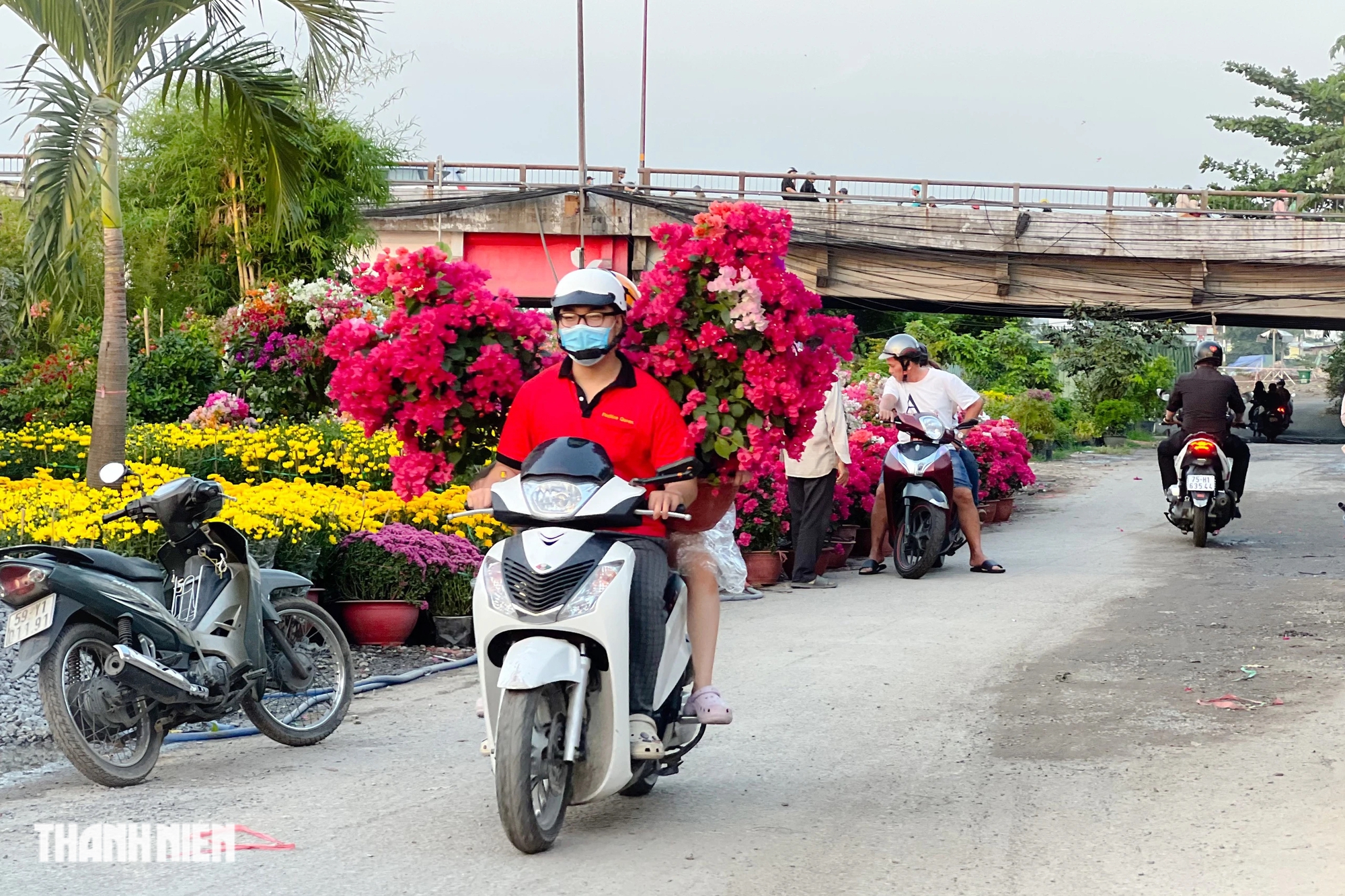 Chợ hoa xuân cạnh bờ kè ở TP.HCM: Khách mua tấp nập vì được như giá sỉ- Ảnh 8.