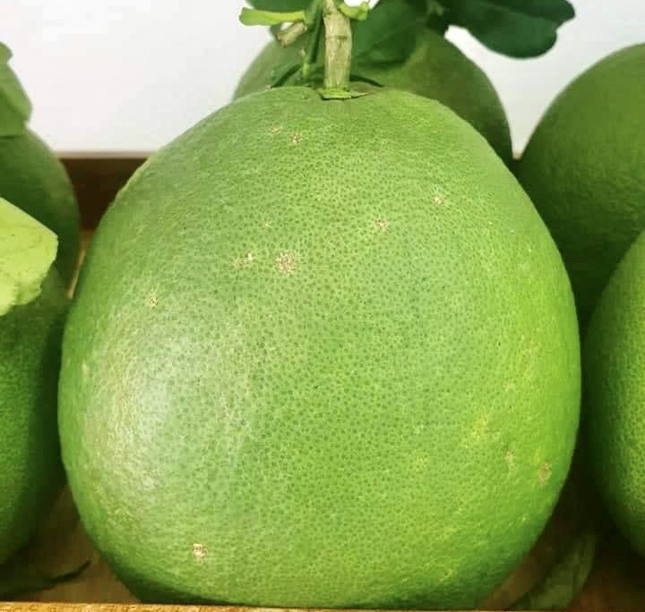 Kryddig grapefruktskalmarmelad - unik smak för Tet - Foto 1. Mứt vỏ bưởi thơm cay - hương vị độc đáo ngày tết- Ảnh 1.