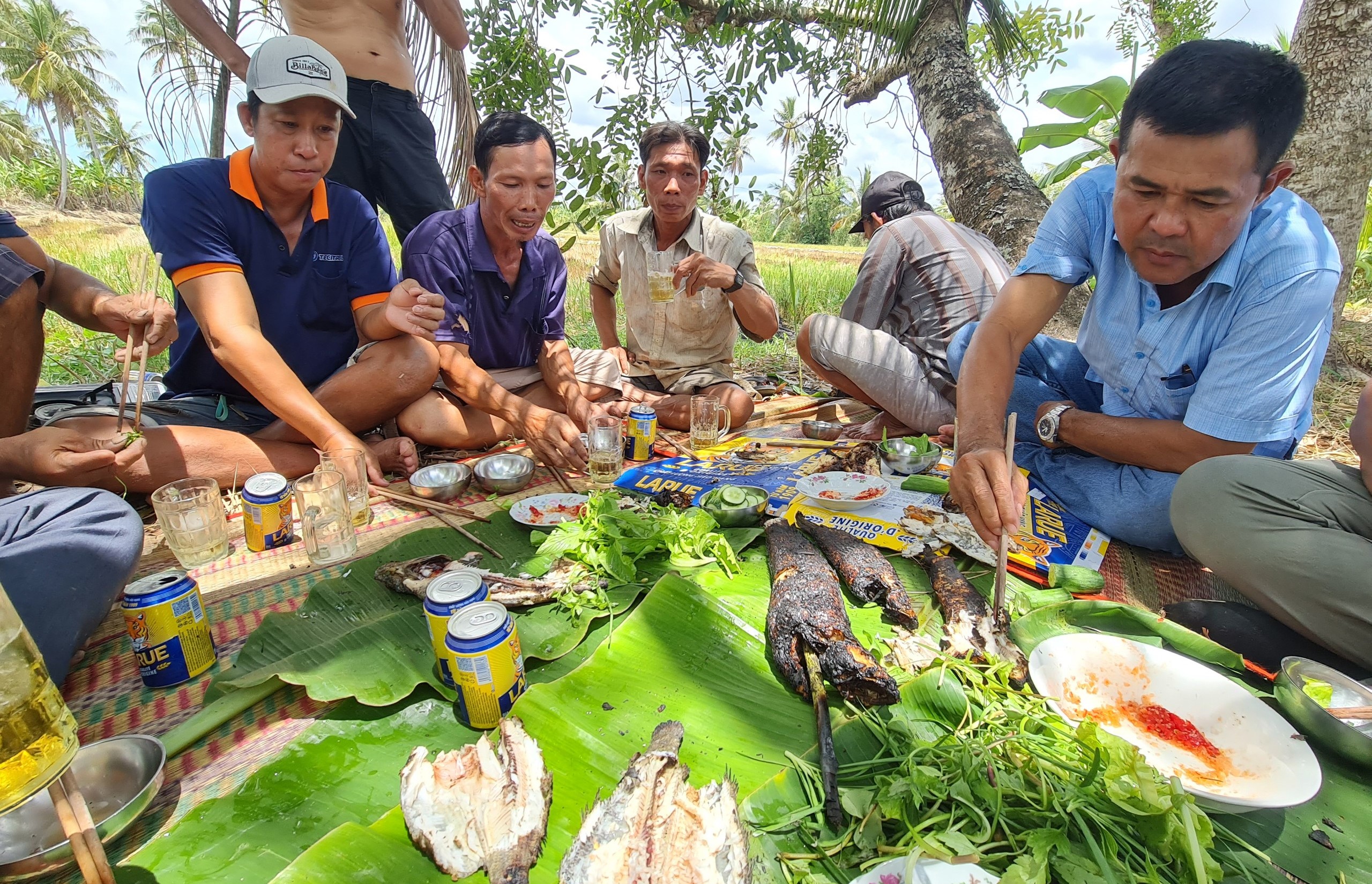 Về Cà Mau tát đìa bắt cá đồng ăn tết- Ảnh 10.