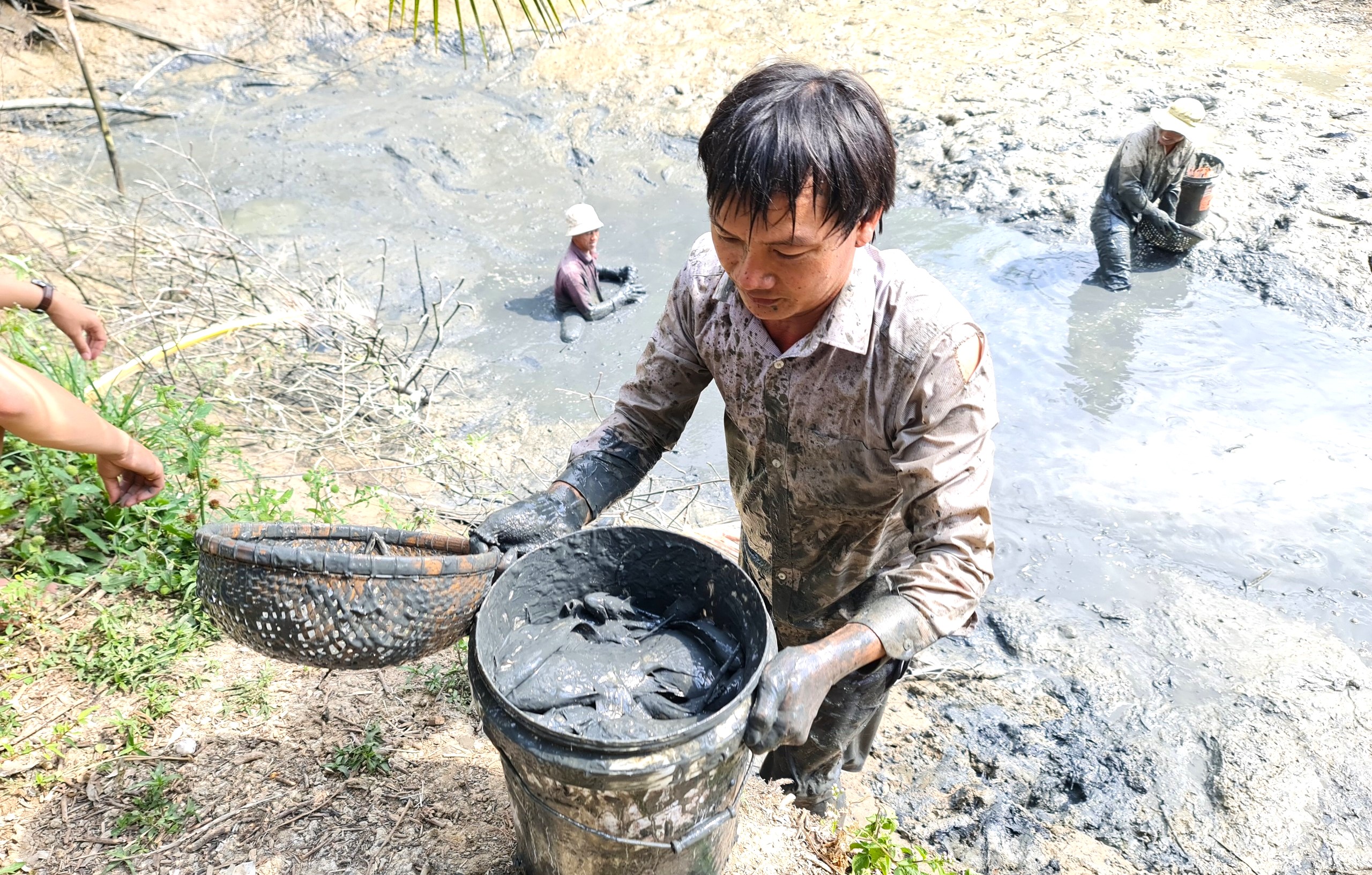 Về Cà Mau tát đìa bắt cá đồng ăn tết- Ảnh 3.