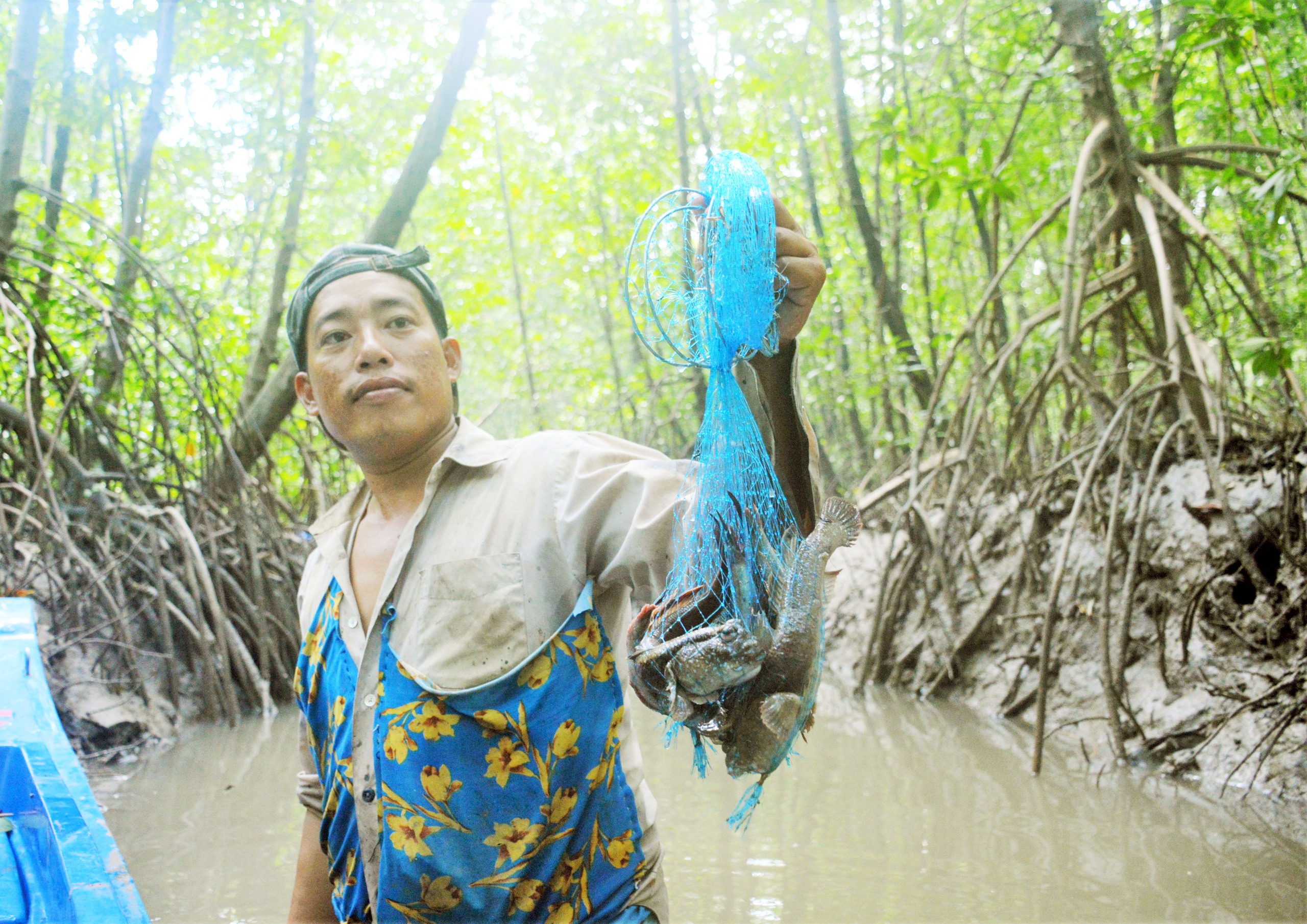 Về Đất Mũi trồng rừng, ăn cá thòi lòi, nghe đờn ca tài tử- Ảnh 2.