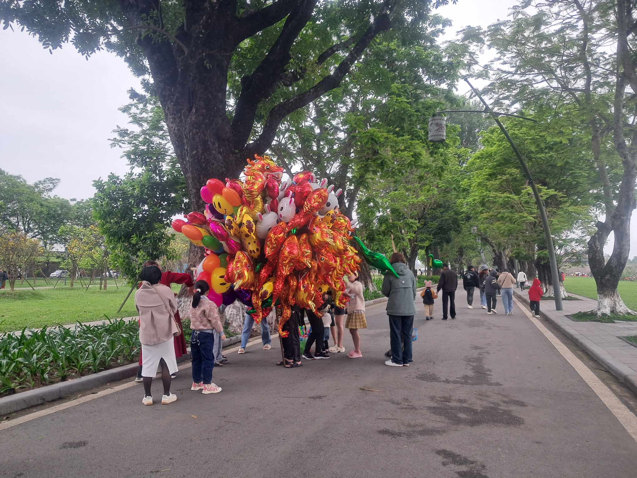 Thi ảnh Khát vọng năm rồng: Cảm ơn nhé, mùa xuân bình yên!- Ảnh 1.