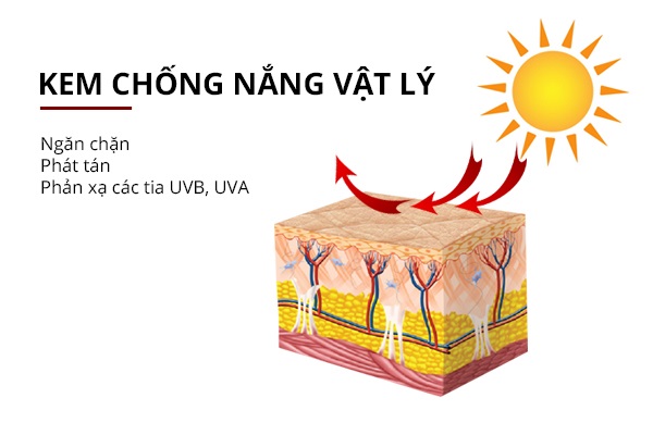 Top 10 kem chống nắng vật lý bảo vệ da tối ưu mà không tạo vệt trắng- Ảnh 1.