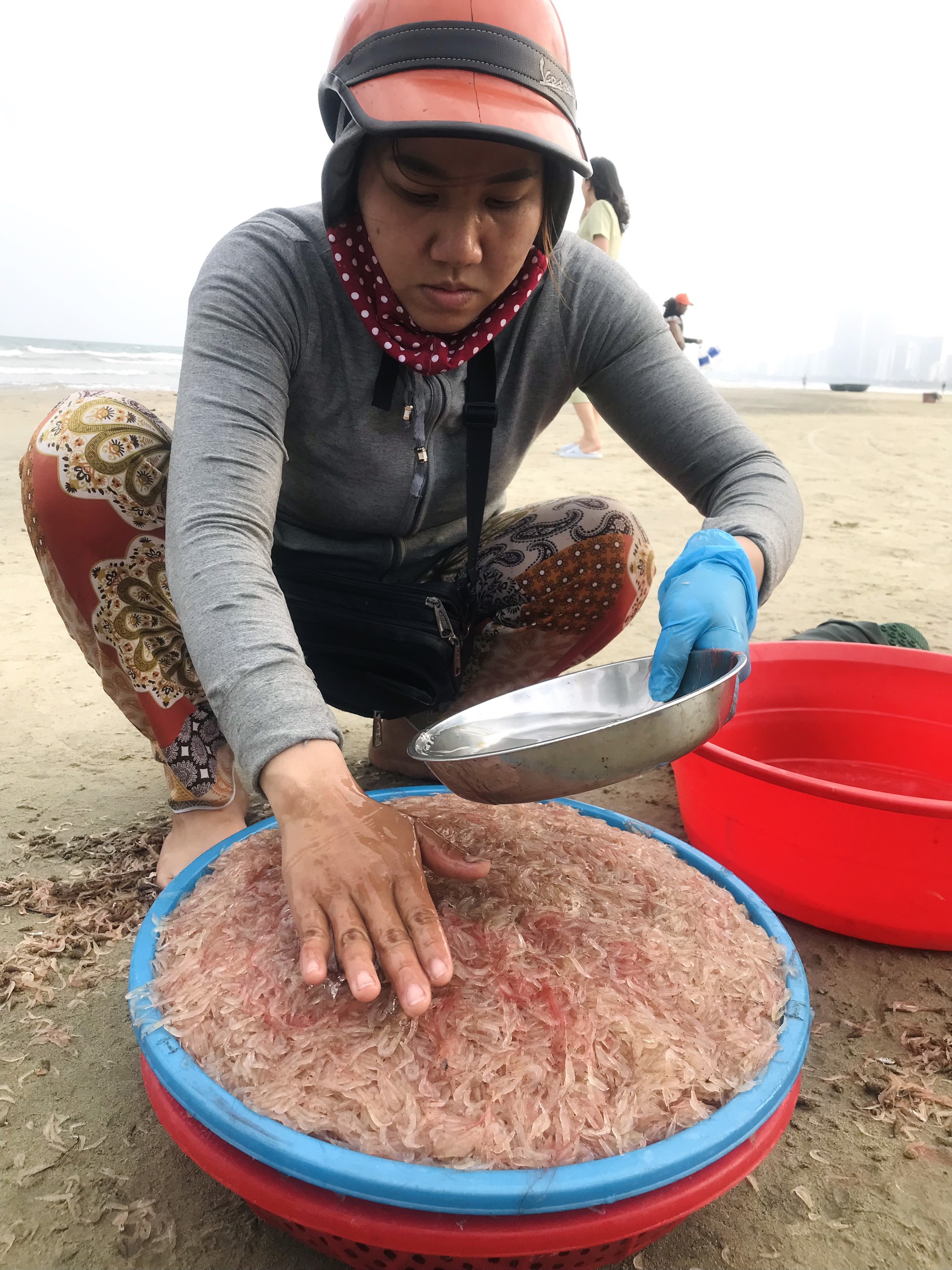 Thi ảnh Khát vọng năm rồng: 'Lộc trời' đầu xuân trên bãi biển Mân Thái- Ảnh 2.