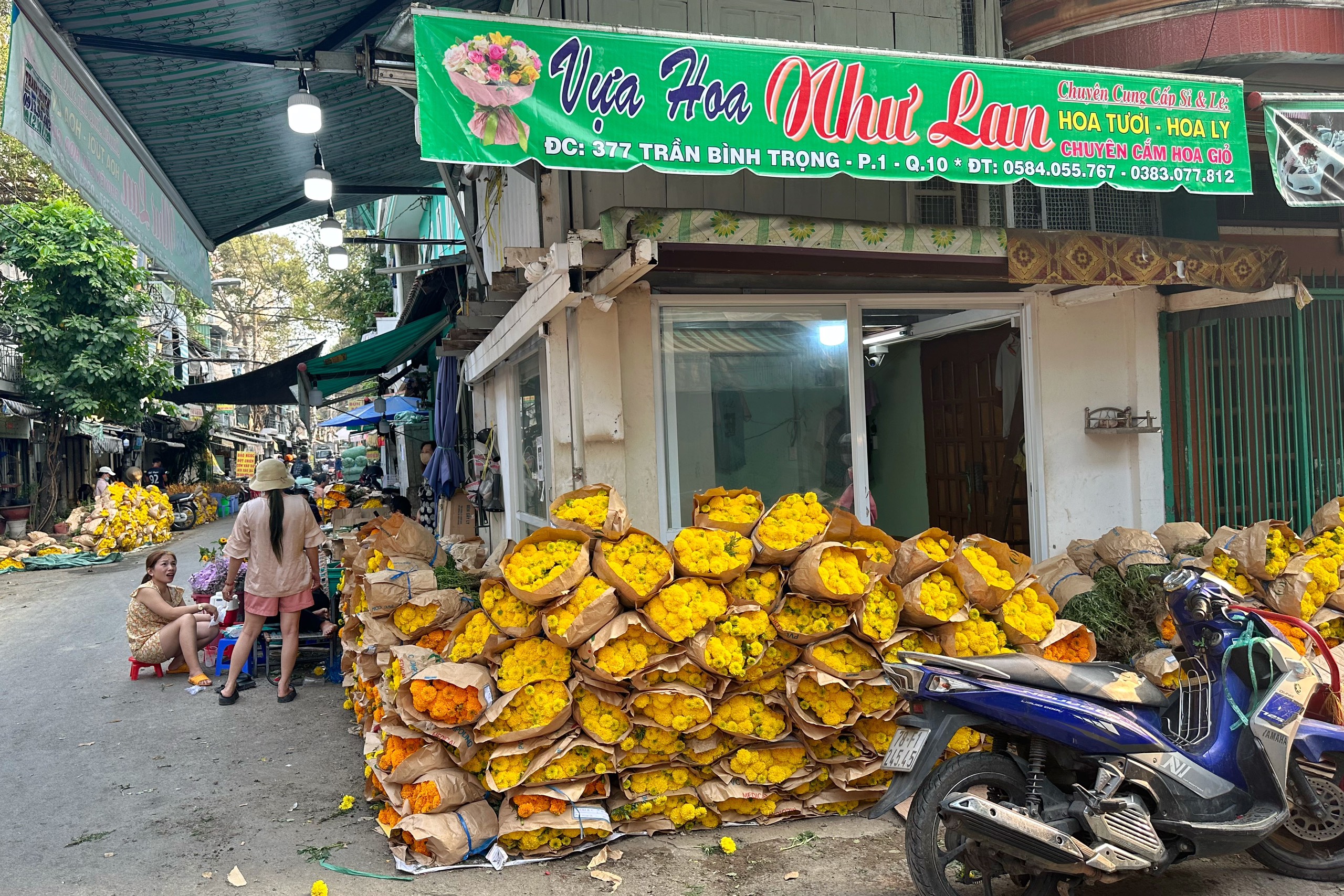 C&uacute;c vạn thọ 'xả lỗ' đầy chợ hoa lớn nhất TP.HCM: Tiểu thương mong ng&oacute;ng- Ảnh 6.