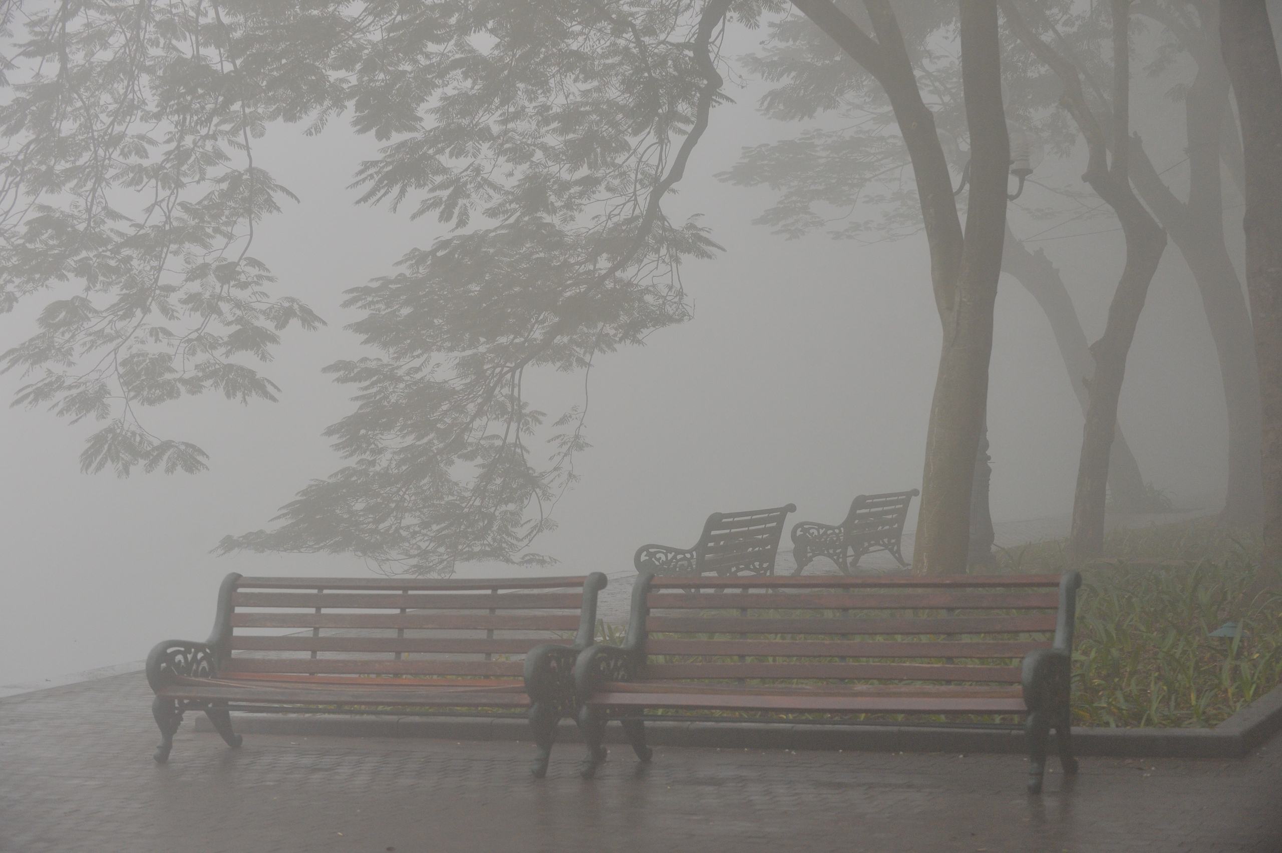 Sáng nay Hà Nội hóa Sa Pa, sương mù giăng khắp lối- Ảnh 1.