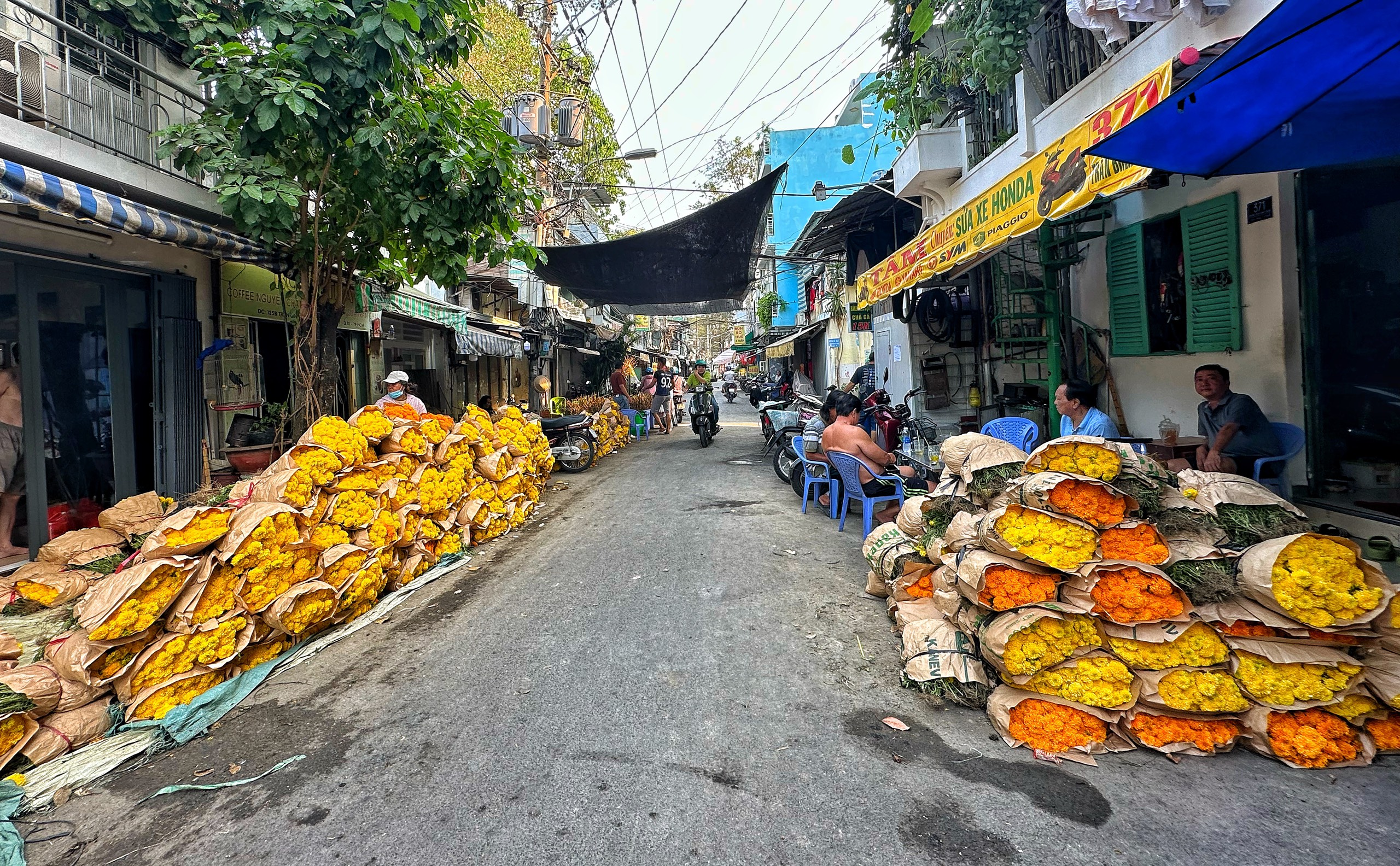 Cúc vạn thọ 'xả lỗ' đầy chợ hoa lớn nhất TP.HCM: Tiểu thương mong ngóng- Ảnh 2.