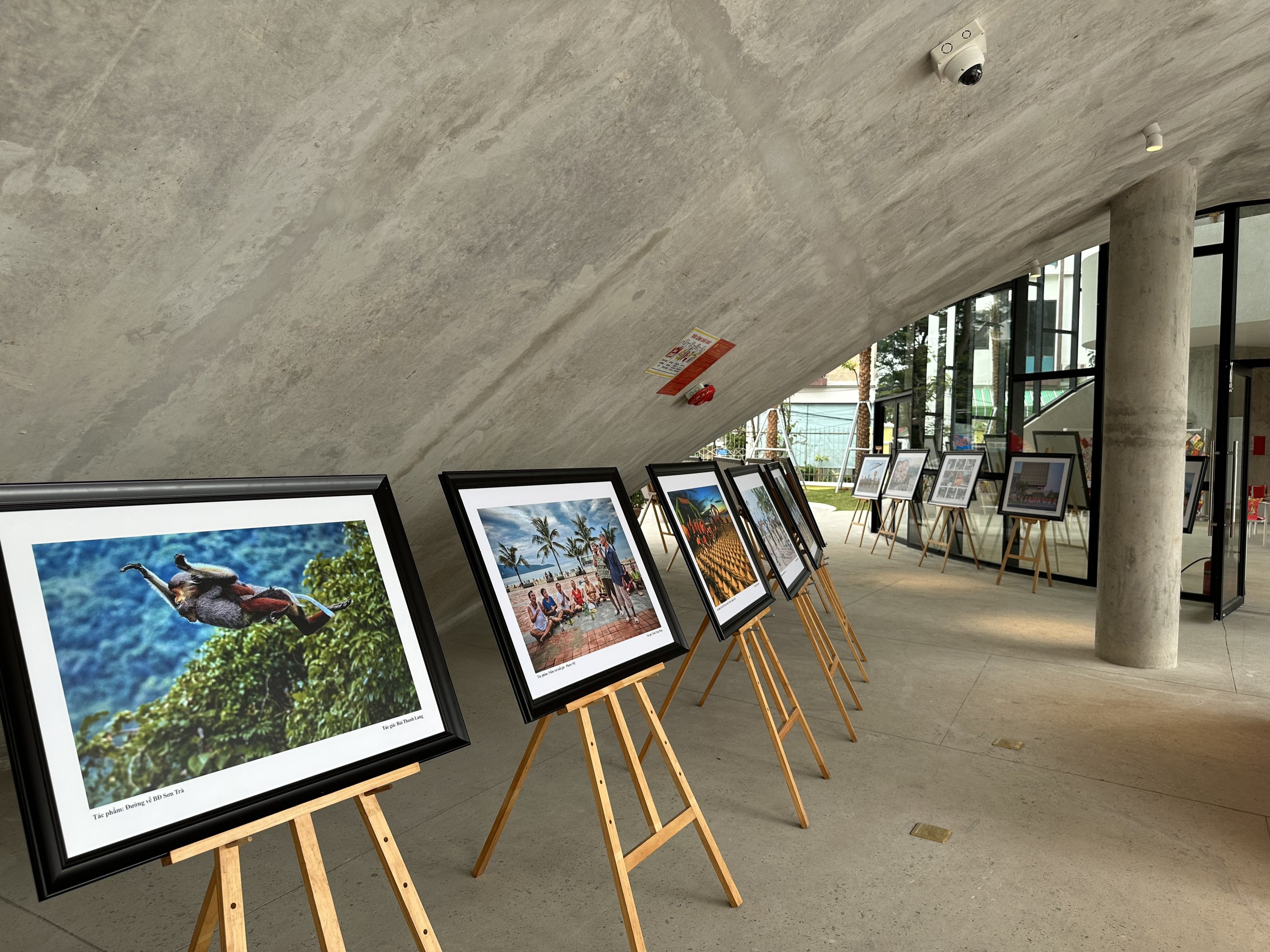 Độc lạ Nhà trưng bày nghệ thuật Đà Nẵng: Cảm hứng từ cánh chim hải âu- Ảnh 8.