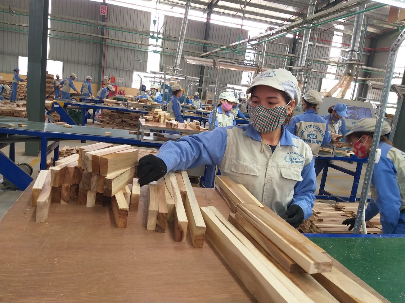 Xuất khẩu gỗ sang Mỹ tăng vọt hơn 120% có bất ngờ?- Ảnh 2. Xuất khẩu gỗ sang Mỹ tăng vọt hơn 120% có bất ngờ?- Ảnh 2.