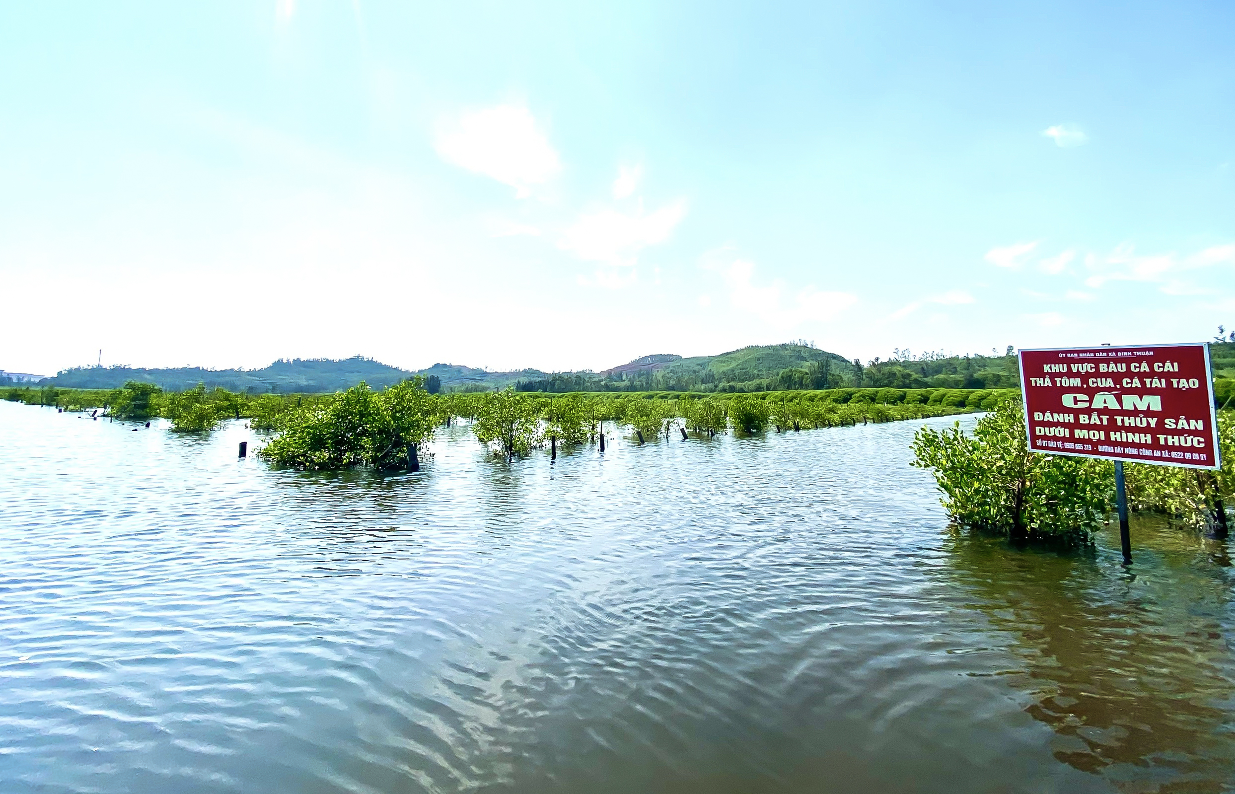 Vẻ đẹp hoang sơ, lạ mắt của rừng ngập mặn Bàu Cá Cái- Ảnh 9.