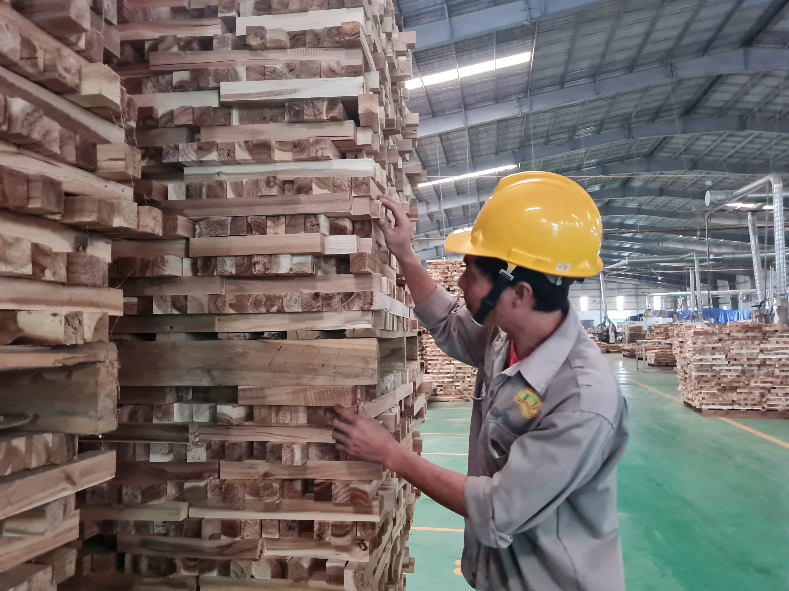 Xuất khẩu gỗ sang Mỹ tăng vọt hơn 120% có bất ngờ?- Ảnh 1. Xuất khẩu gỗ sang Mỹ tăng vọt hơn 120% có bất ngờ?- Ảnh 1.
