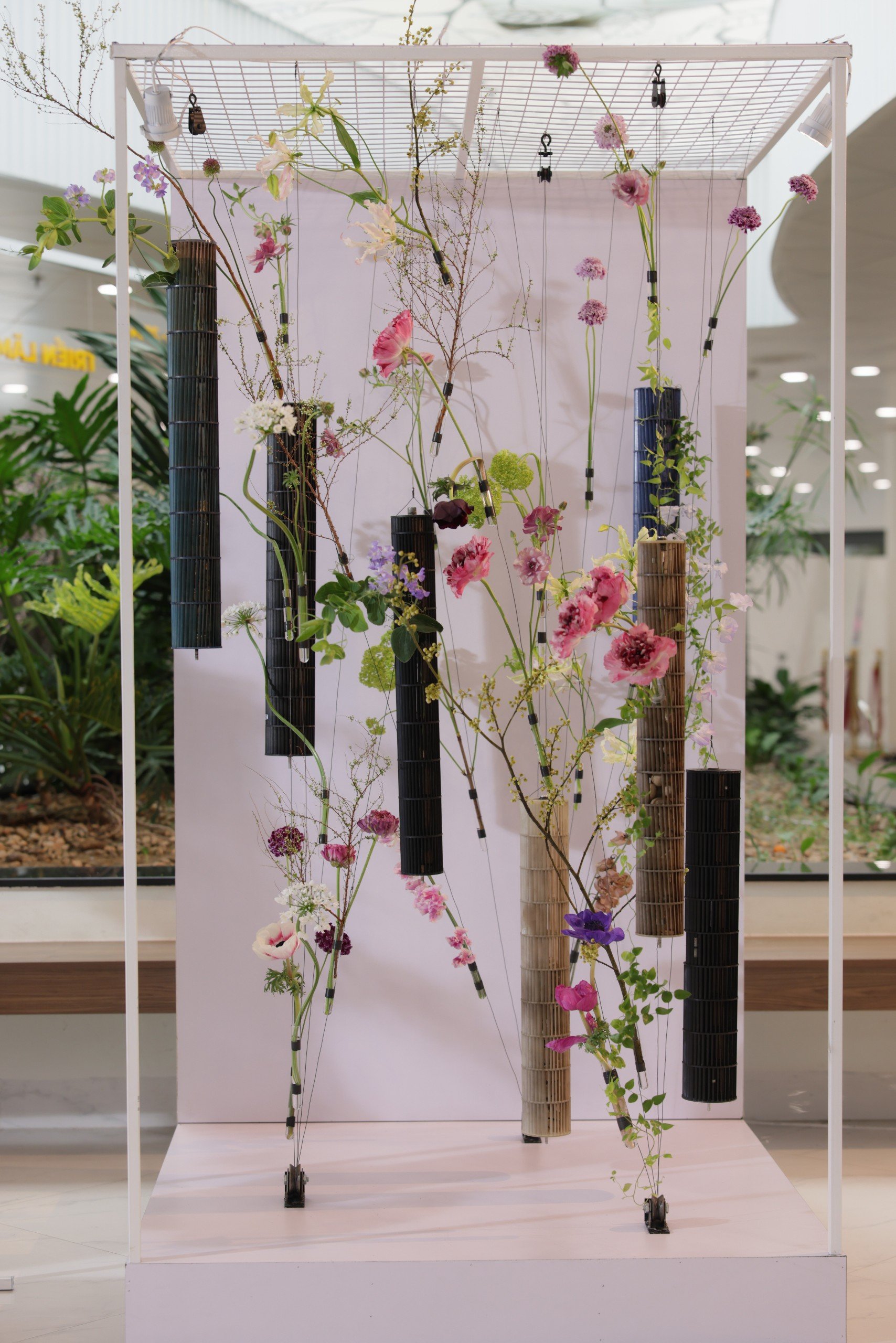 Đà Nẵng: Công viên APEC triển lãm hơn 60 loài hoa Nhật Bản- Ảnh 10.