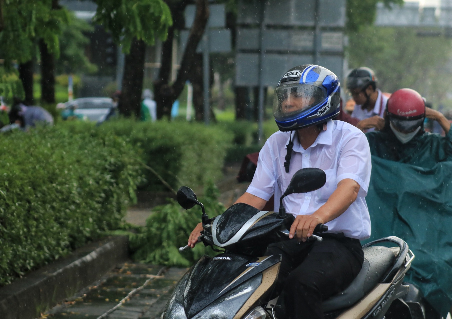 Giữa cao điểm nắng nóng, người dân TP.HCM dễ chịu sau cơn 'mưa vàng' chiều nay - Ảnh 5.