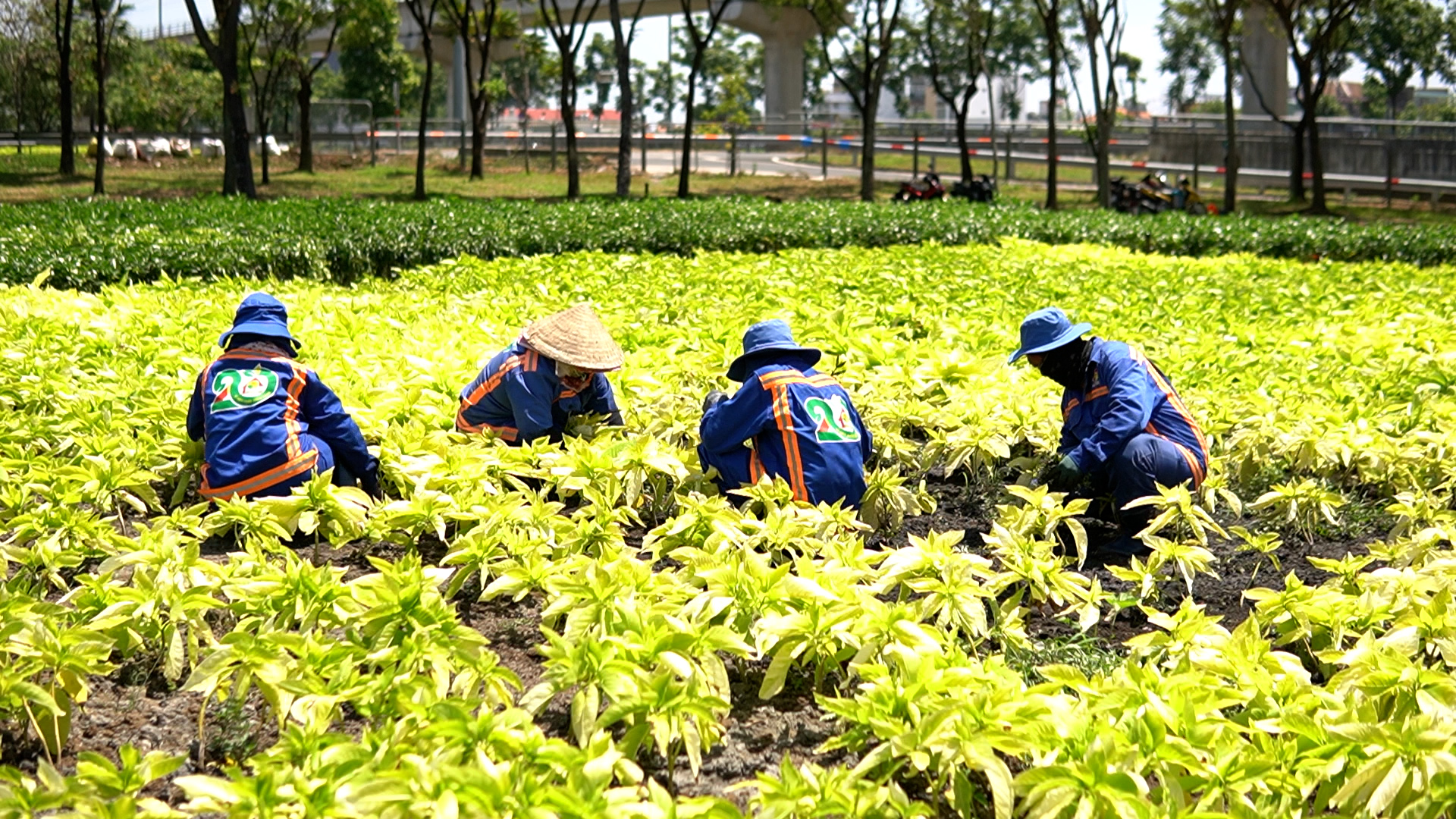 Xem nhanh 20h ngày 29.2: Thành Bưởi được cấp lại giấy phép  | Mống mắt trên thẻ căn cước là gì?- Ảnh 1.