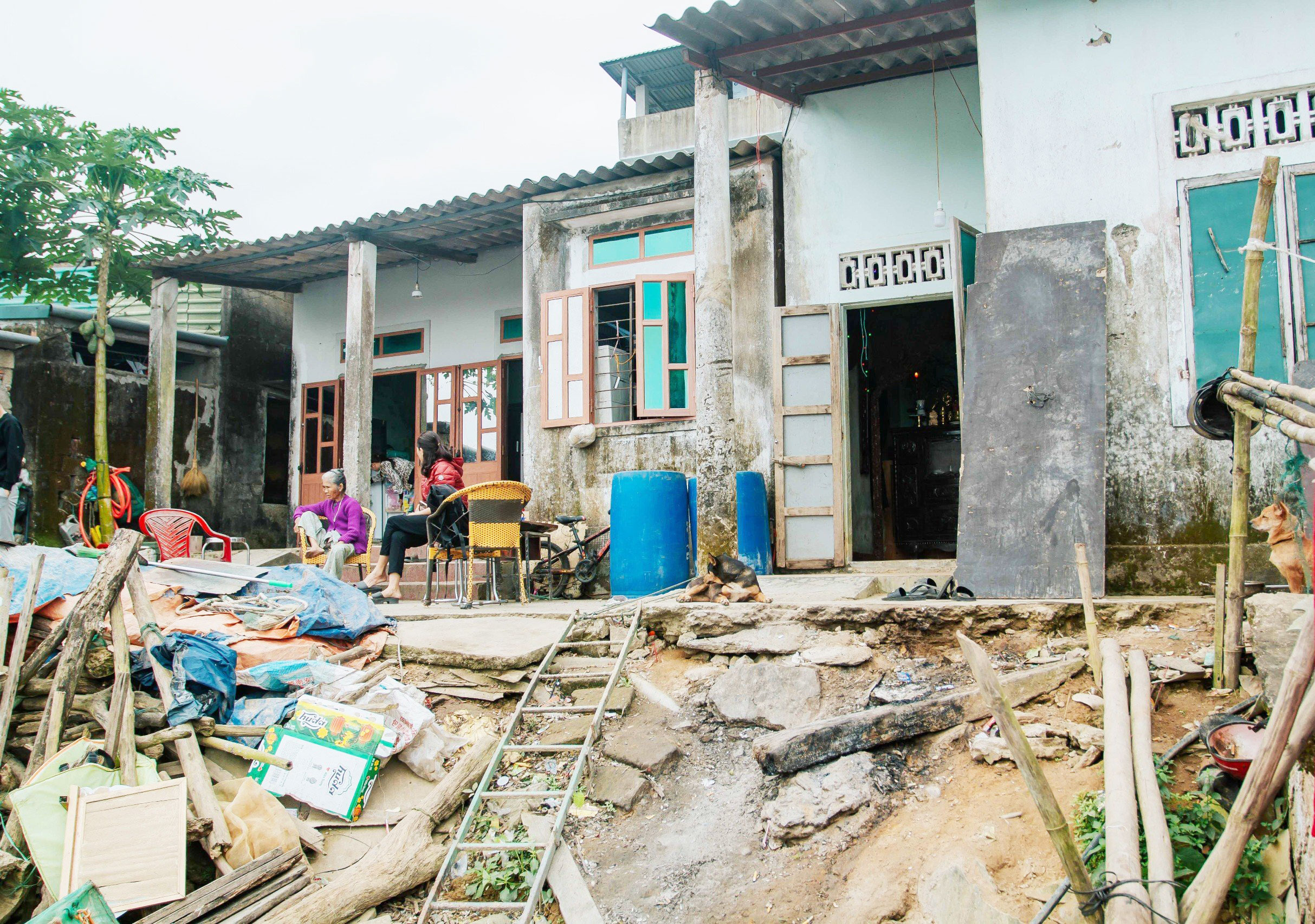 Xem nhanh 20h ngày 2.3: Hy hữu vụ dắt trộm bò 10 km giữa đêm | Lễ cưới xa hoa của con trai tỉ phú- Ảnh 1.