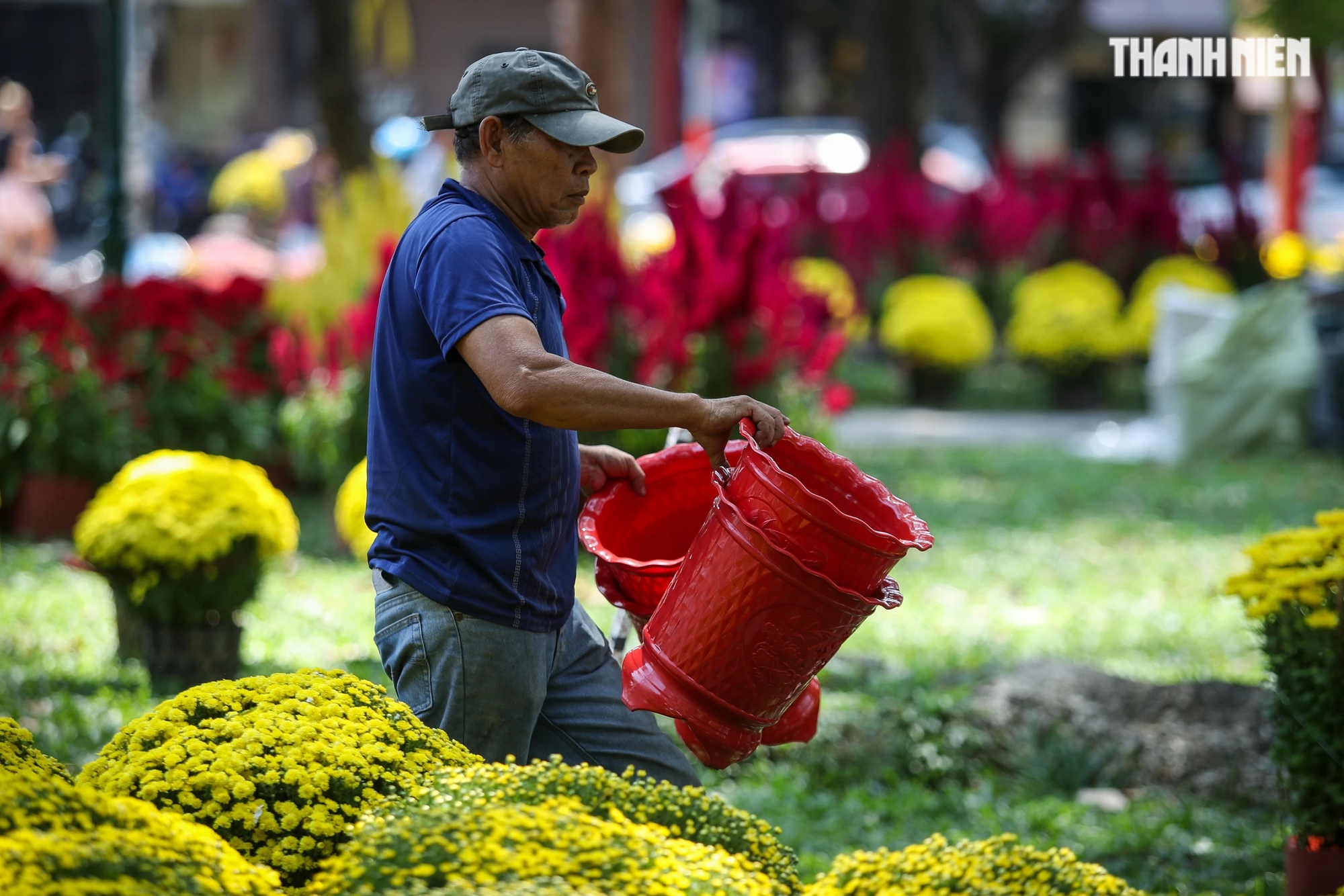 Mai, đào, cúc... tràn ngập chợ hoa tết giữa trung tâm TP.HCM, chờ người mua- Ảnh 18.